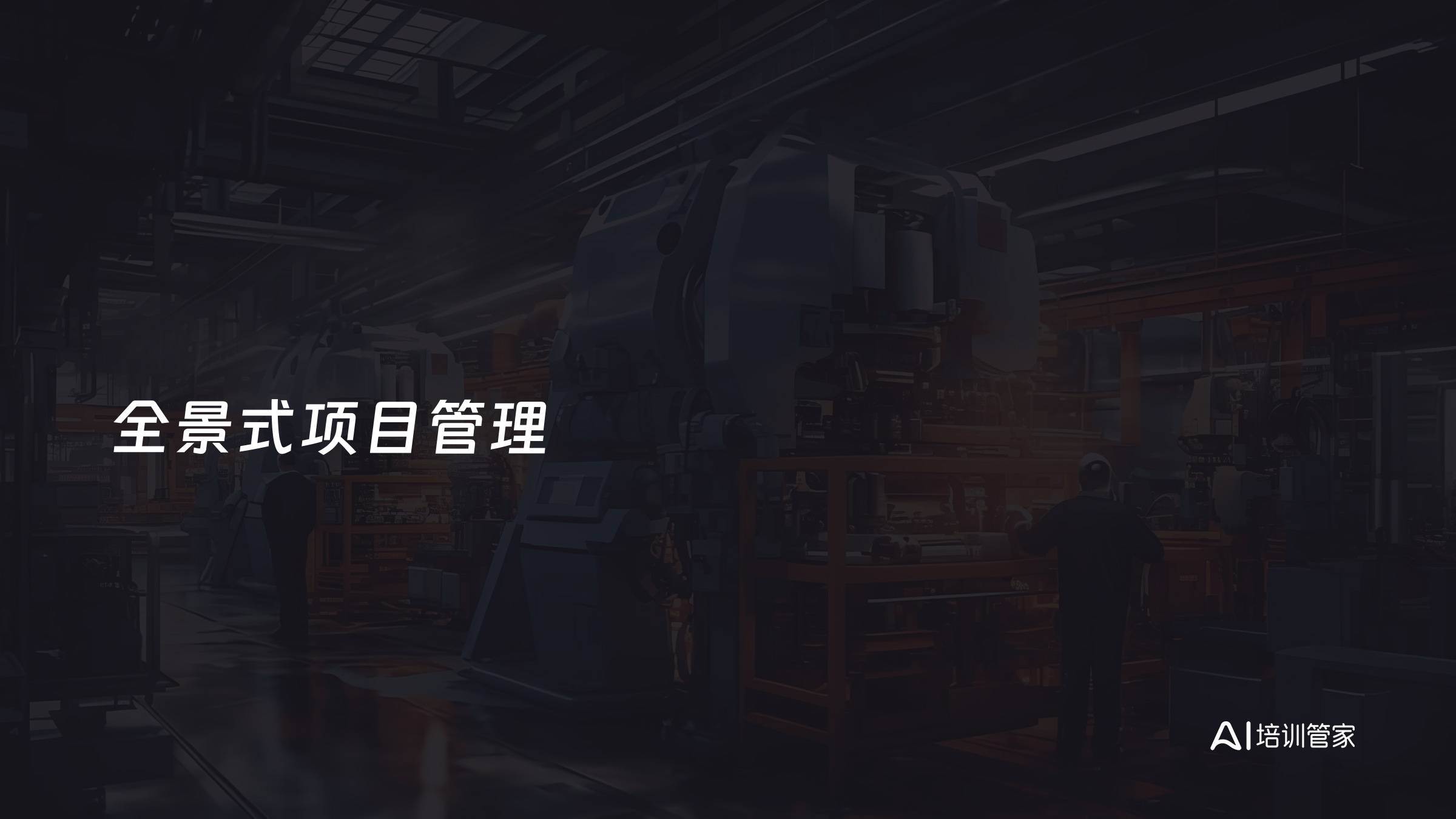 全景式项目管理