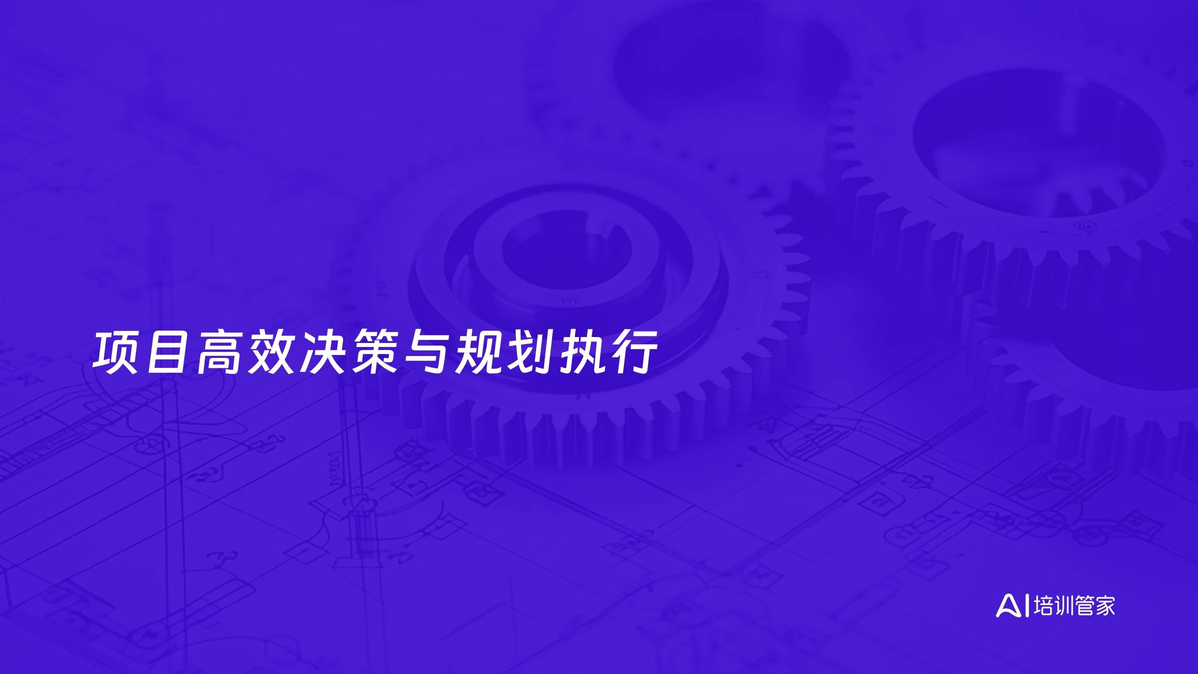 项目高效决策与规划执行
