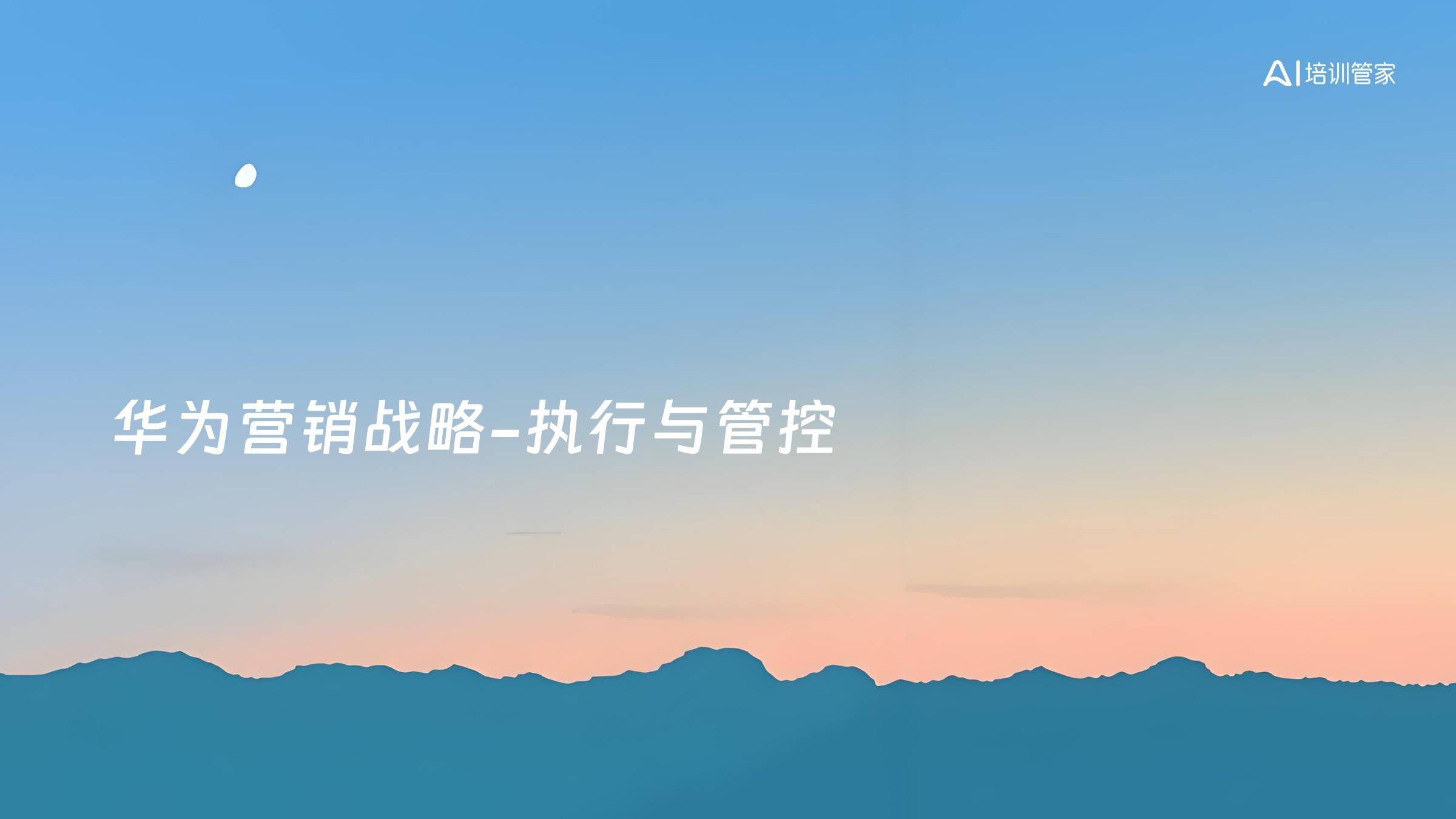 华为营销战略-执行与管控