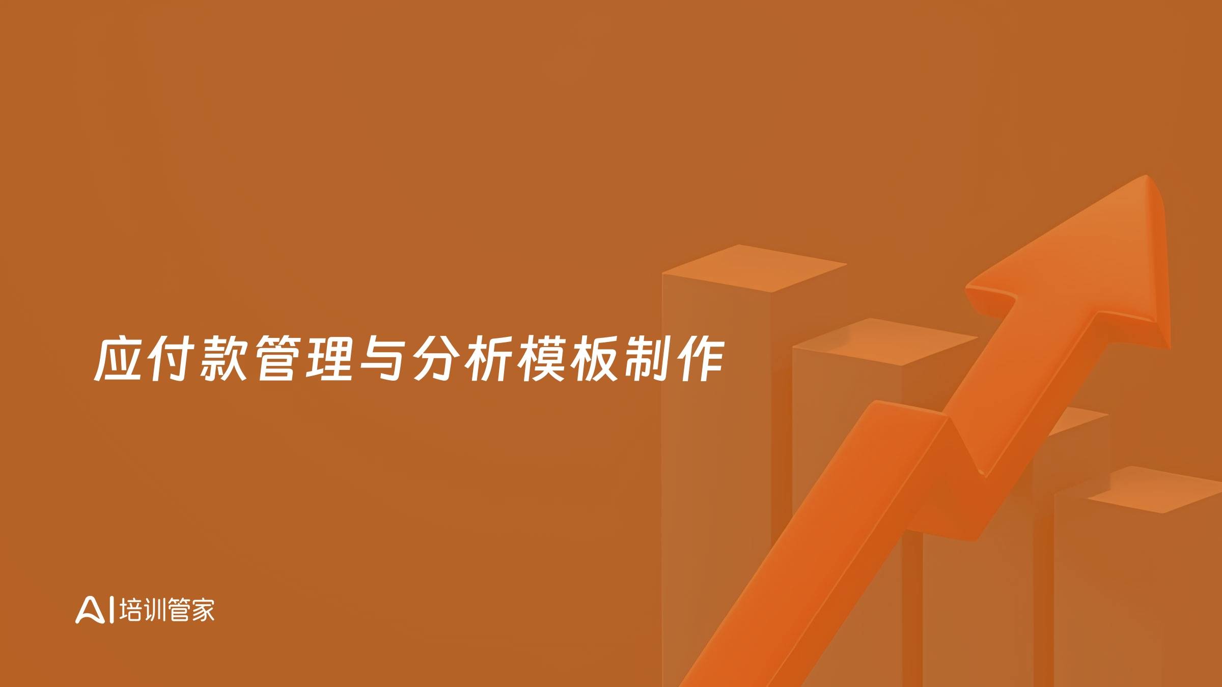应付款管理与分析模板制作