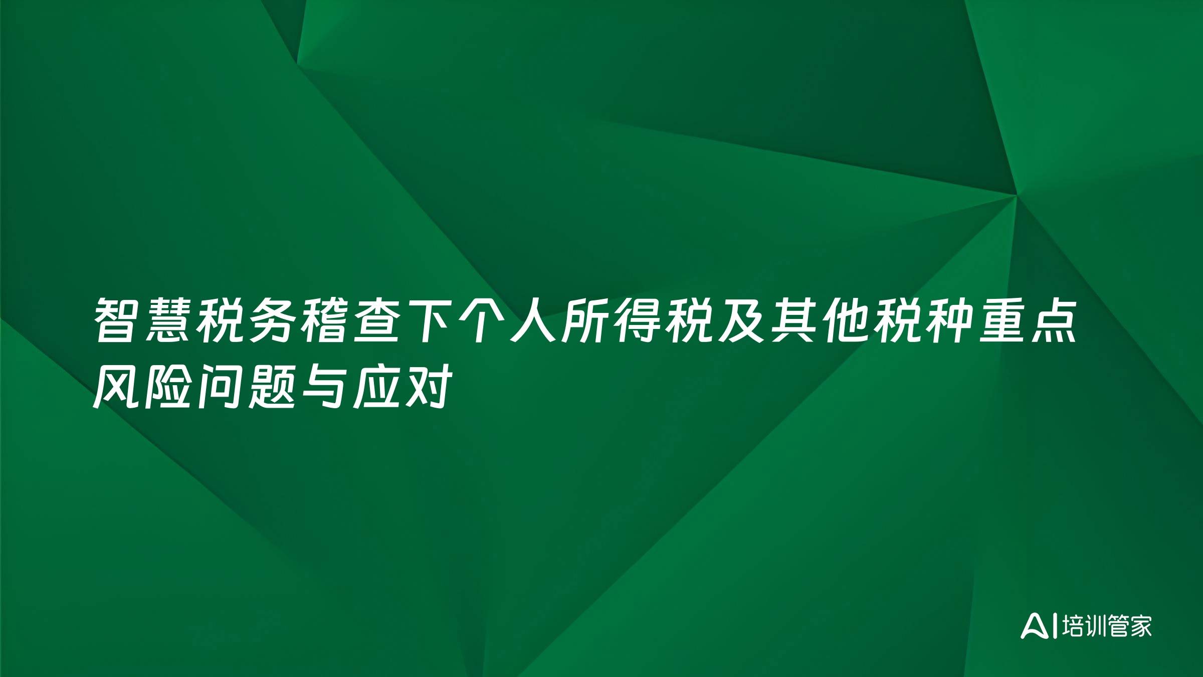 智慧税务稽查下个人所得税及其他税种重点风险问题与应对