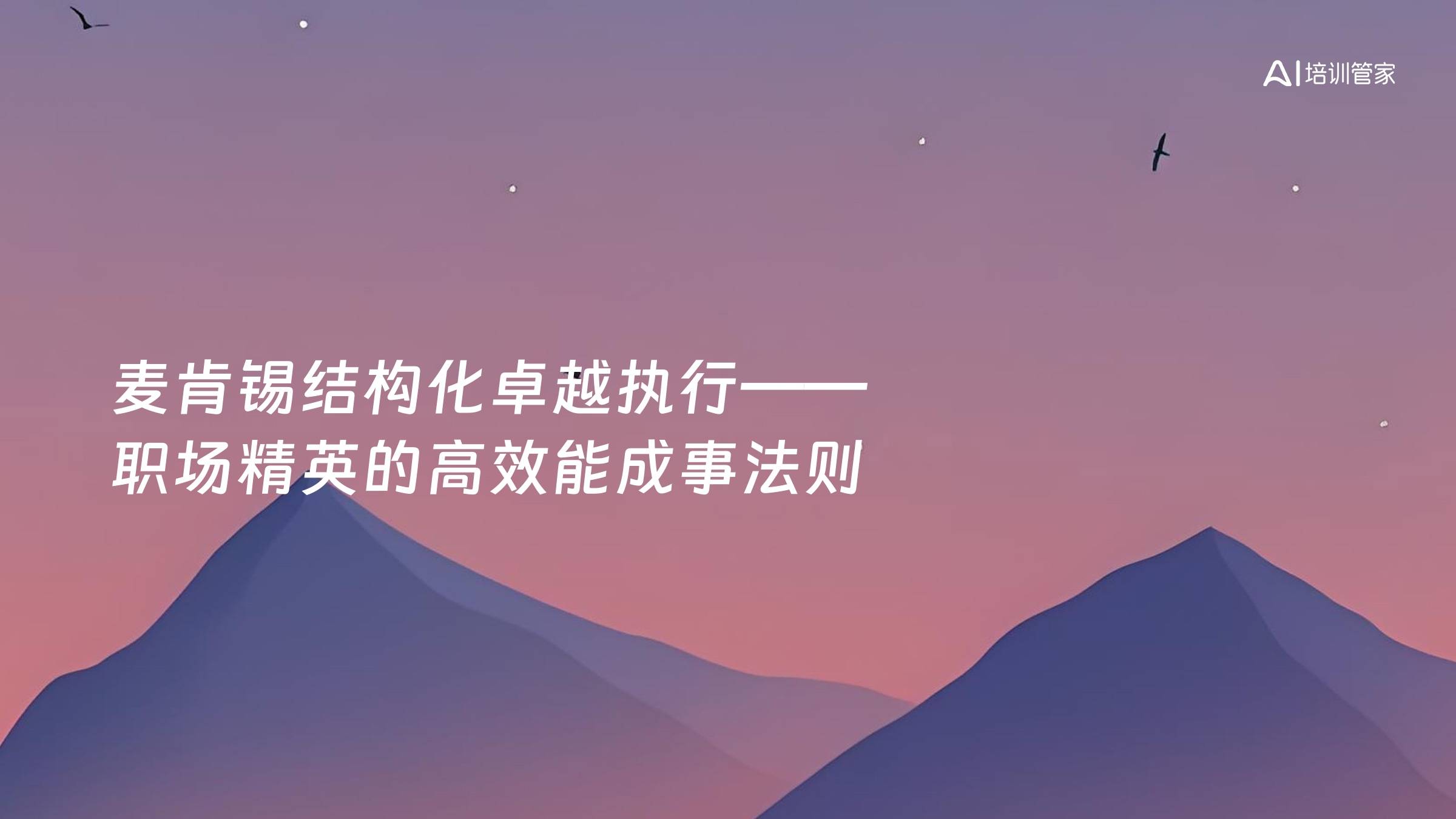 麦肯锡结构化卓越执行——职场精英的高效能成事法则
