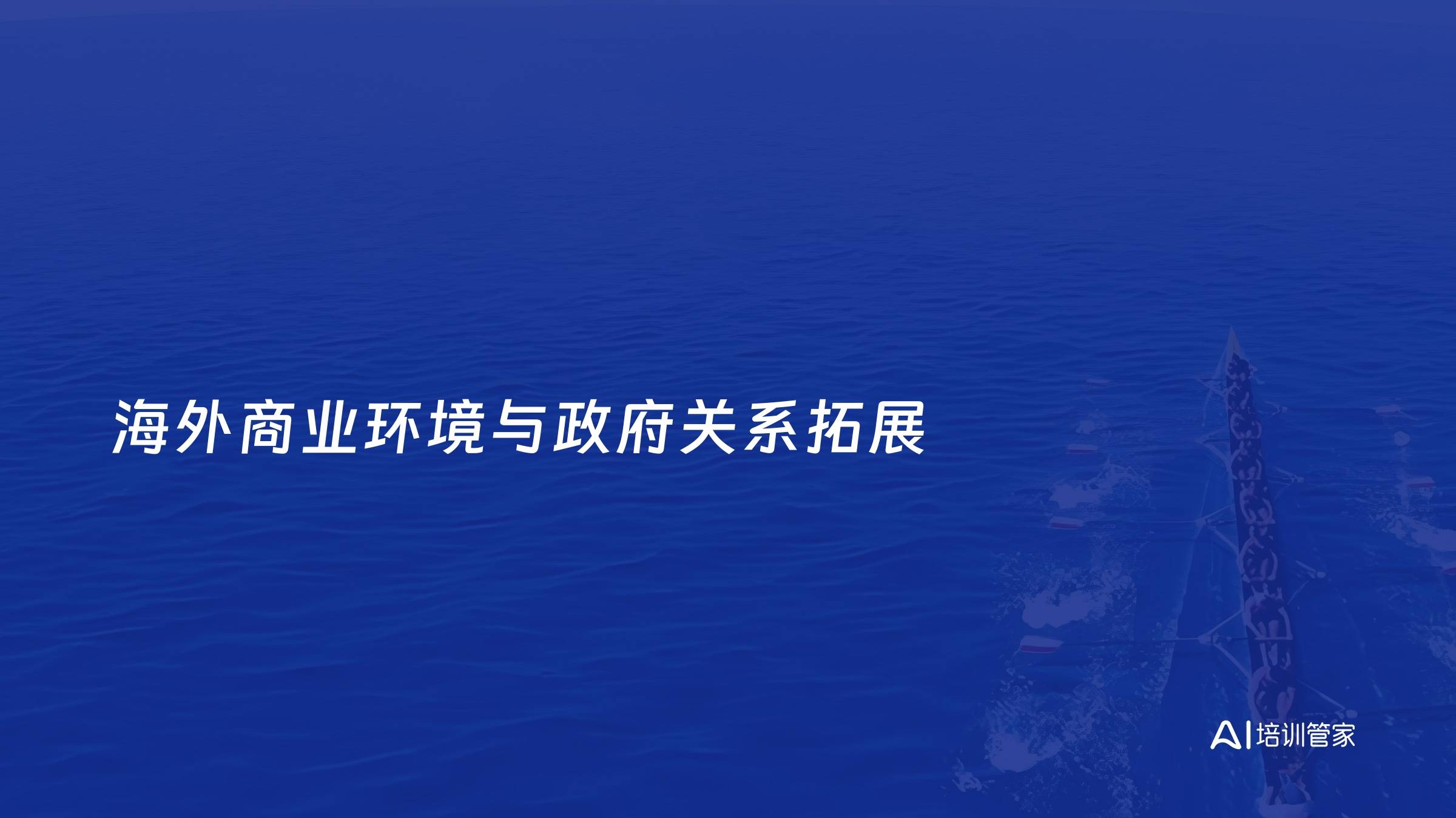 海外商业环境与政府关系拓展