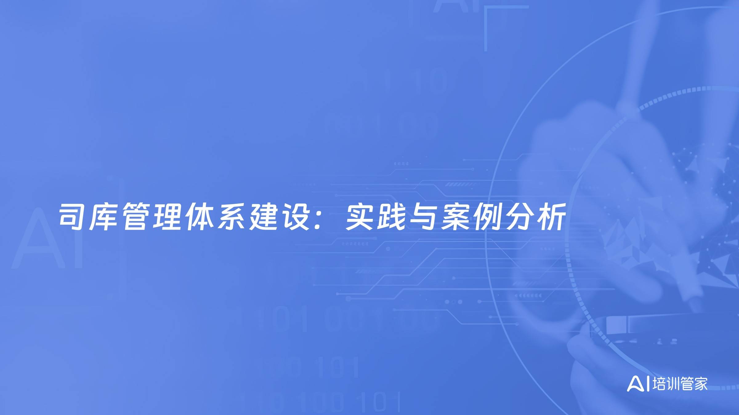 司库管理体系建设：实践与案例分析
