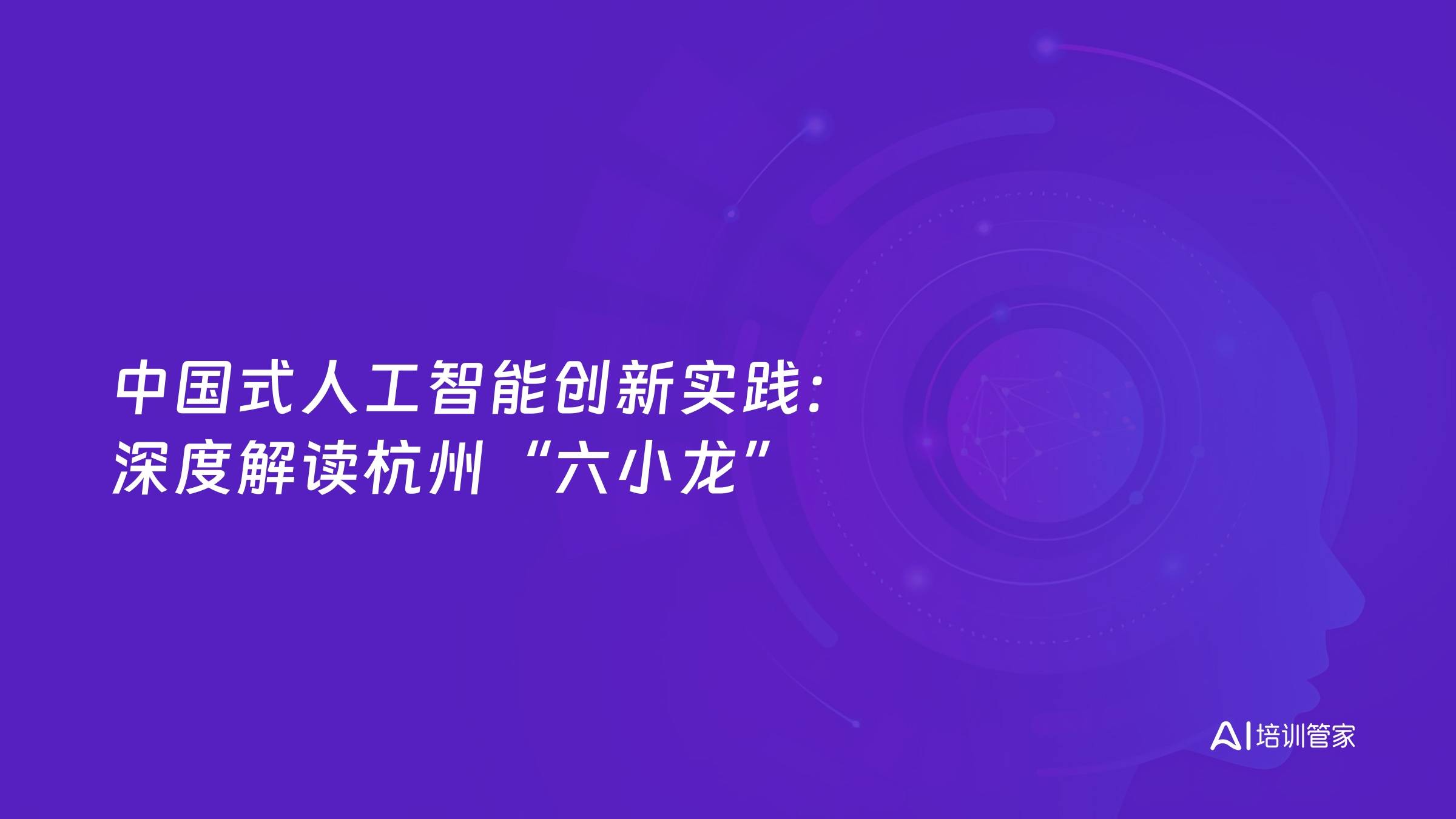 中国式人工智能创新实践：深度解读杭州“六小龙”