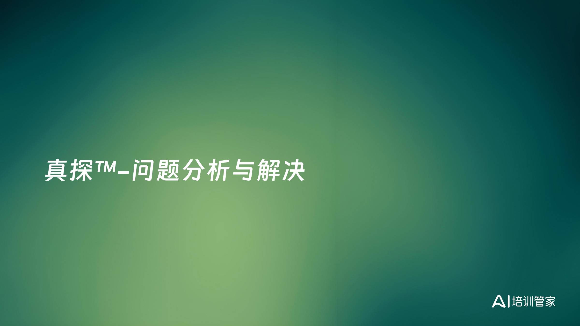 真探™-问题分析与解决
