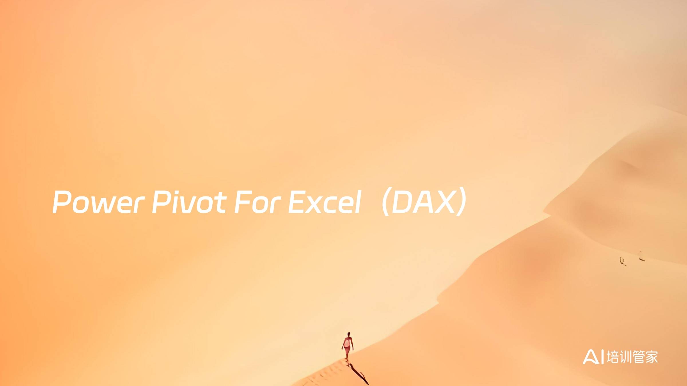 Power Pivot For Excel（DAX）
