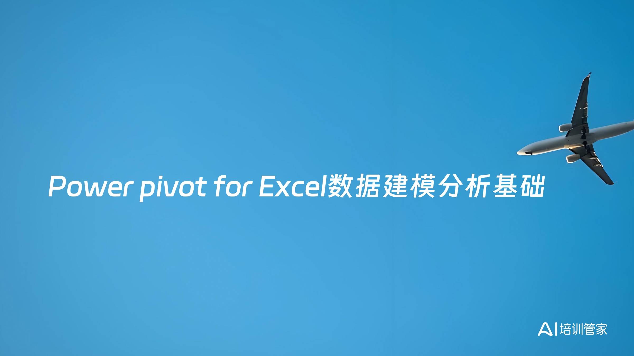 Power pivot for Excel数据建模分析基础