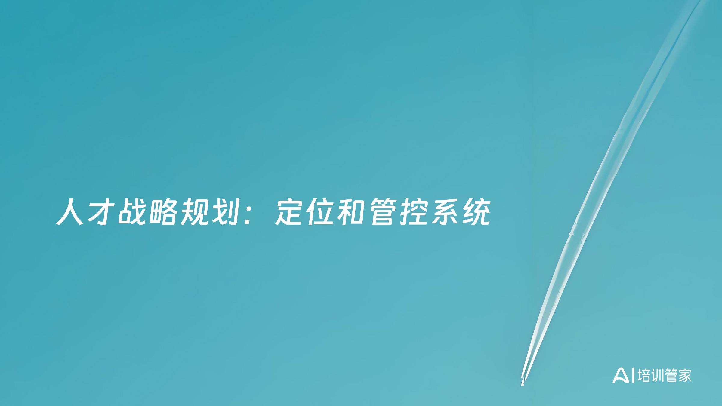 人才战略规划：定位和管控系统