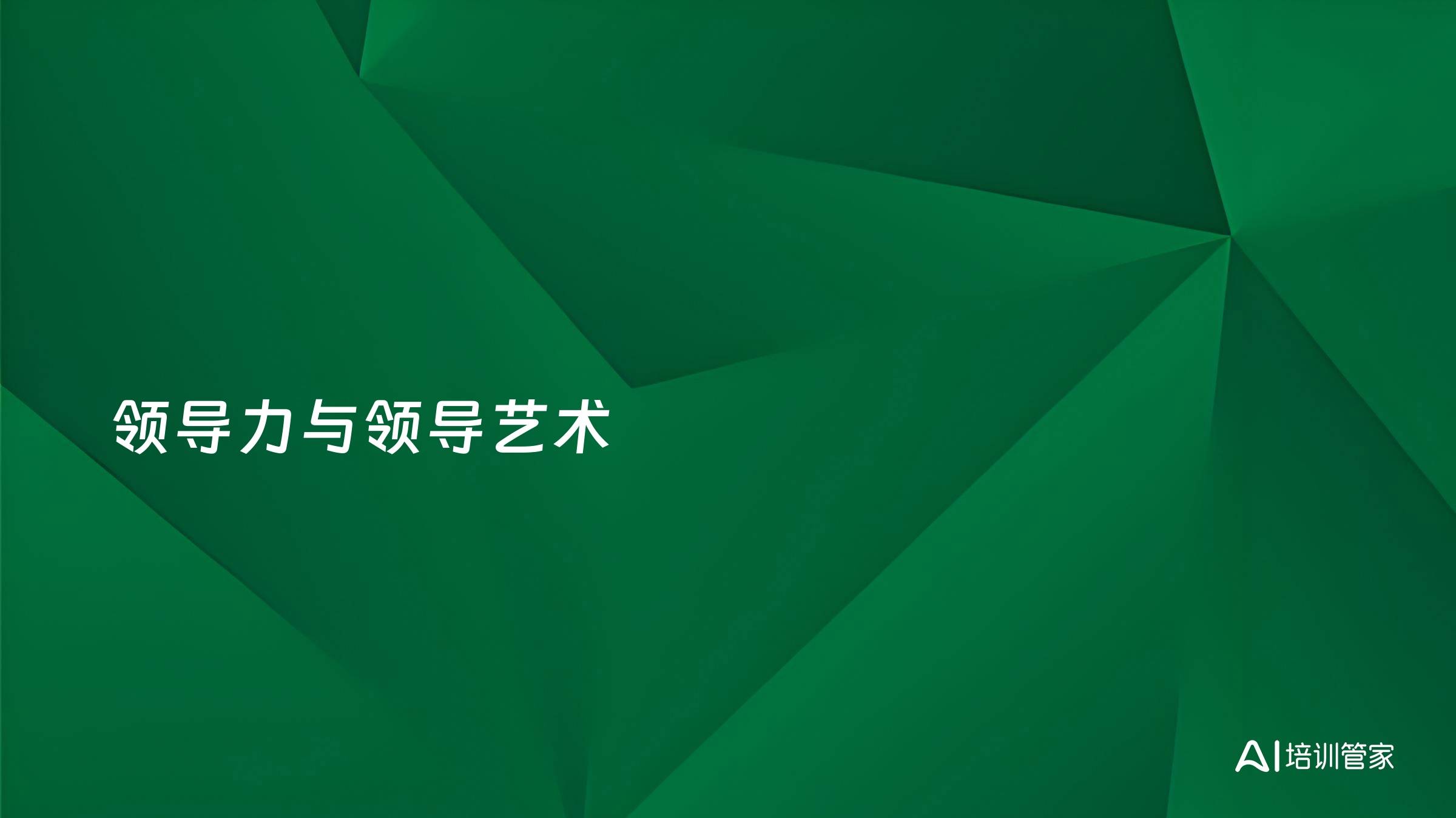 领导力与领导艺术