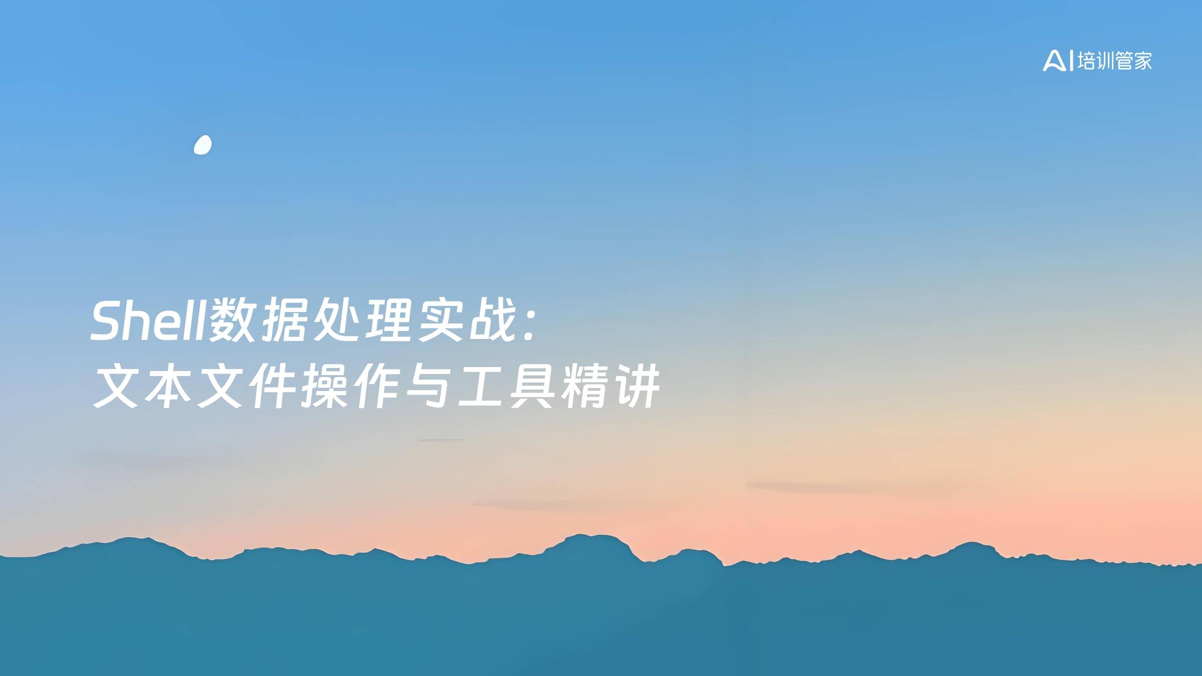 Shell数据处理实战：文本文件操作与工具精讲