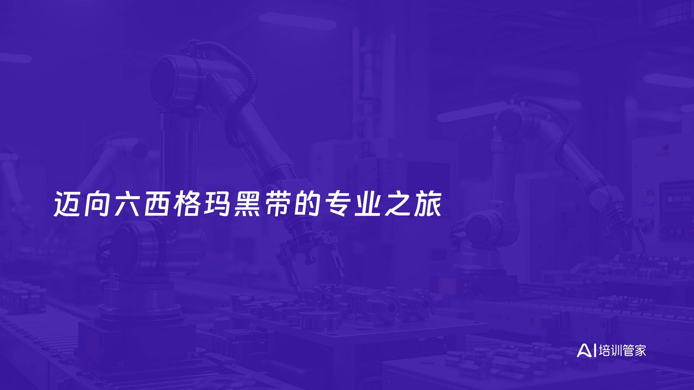 迈向六西格玛黑带的专业之旅