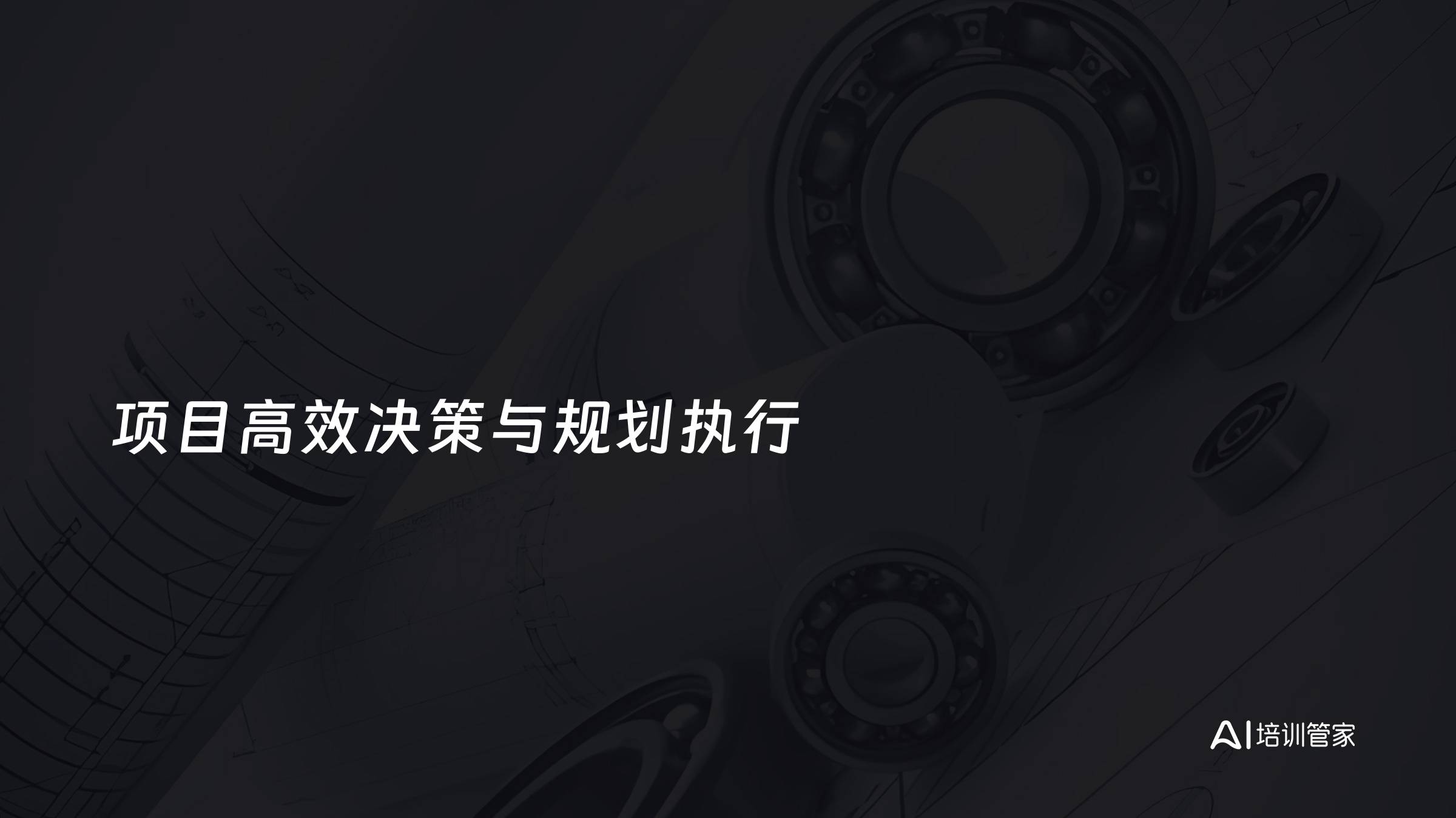 项目高效决策与规划执行