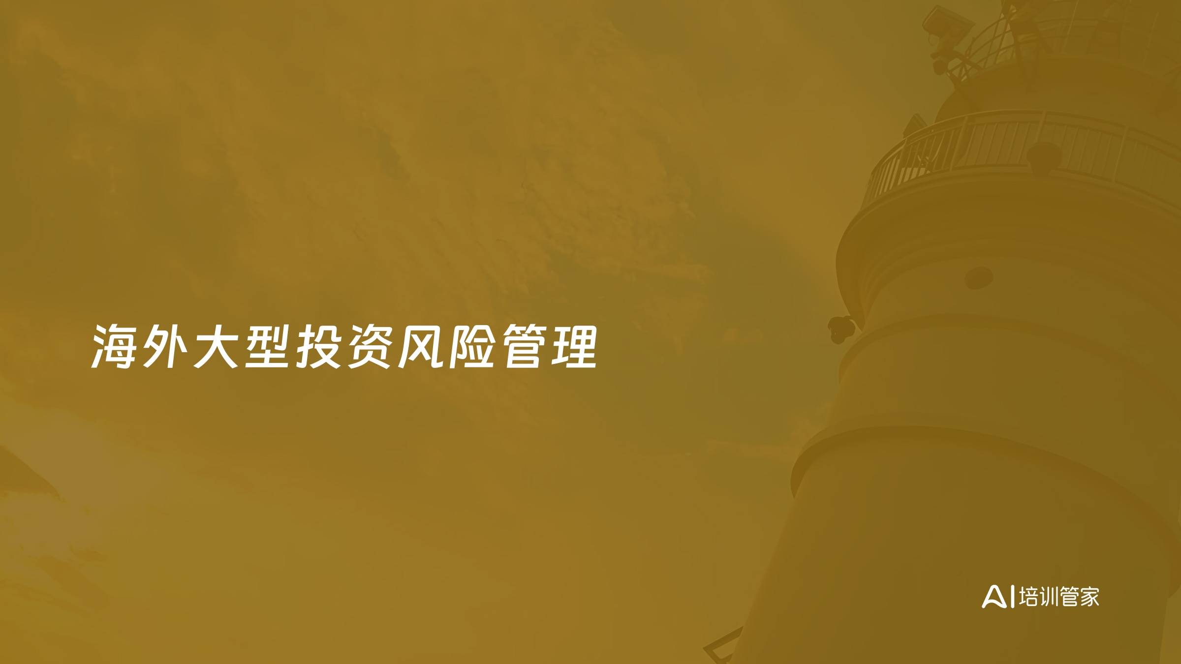 海外大型投资风险管理