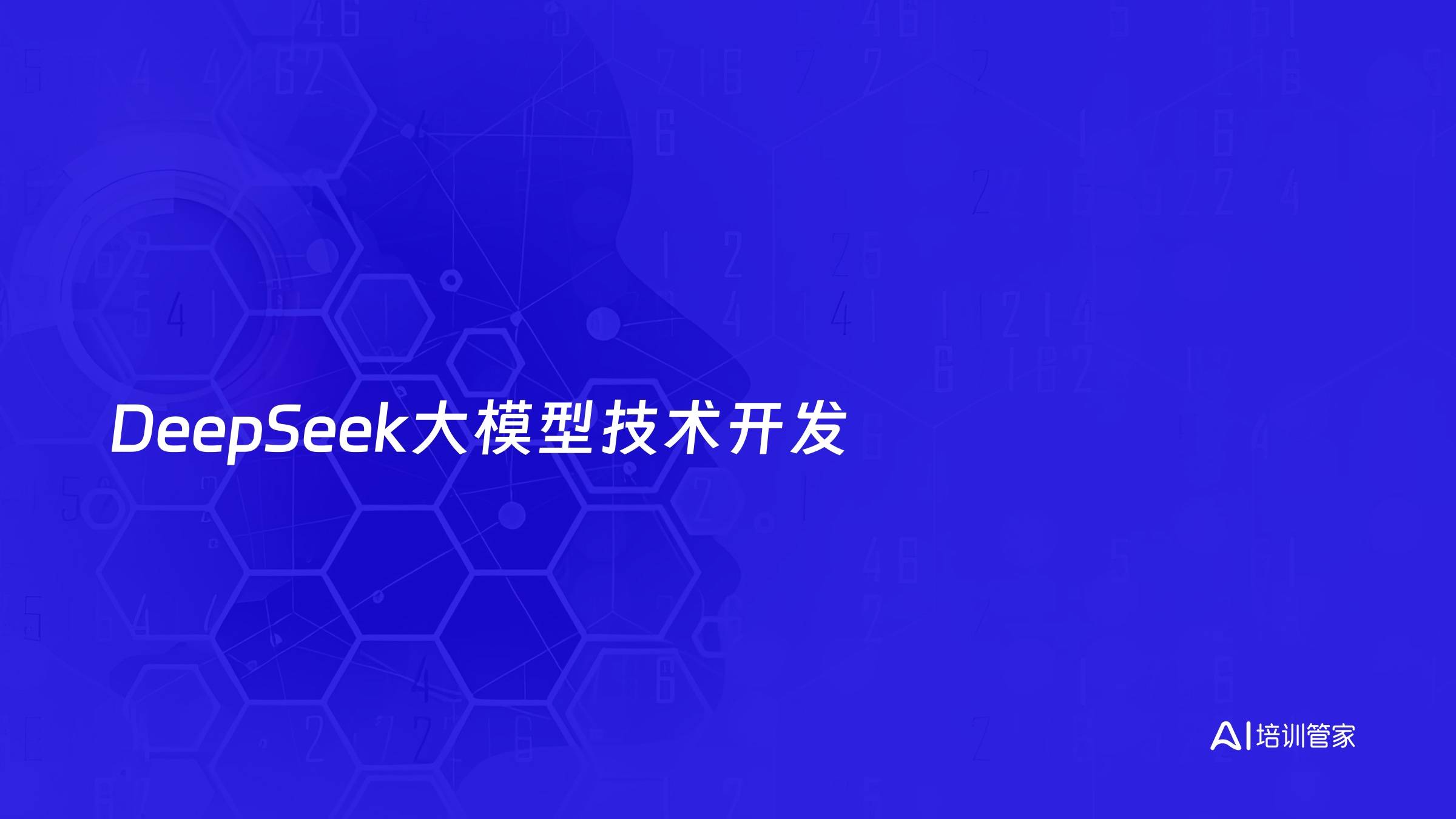 DeepSeek大模型技术开发