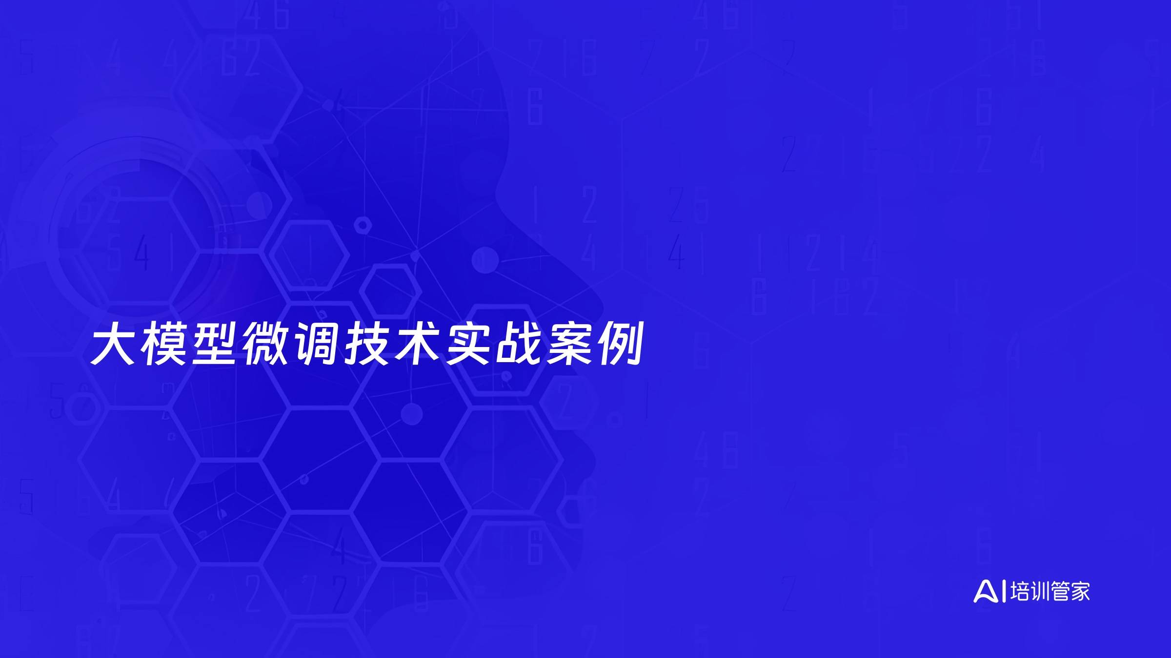 大模型微调技术实战案例