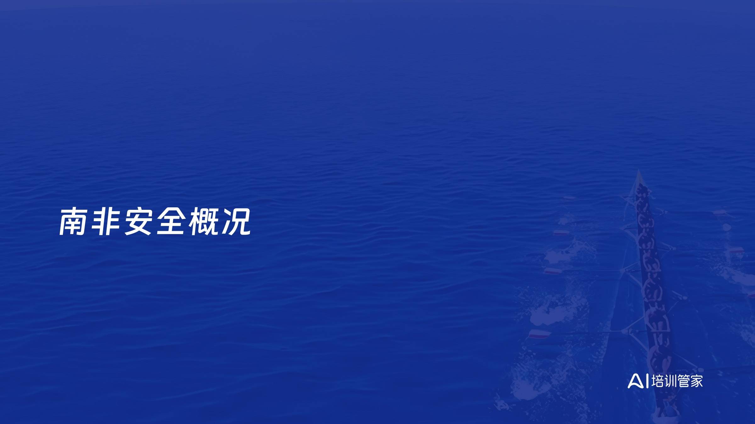 南非安全概况