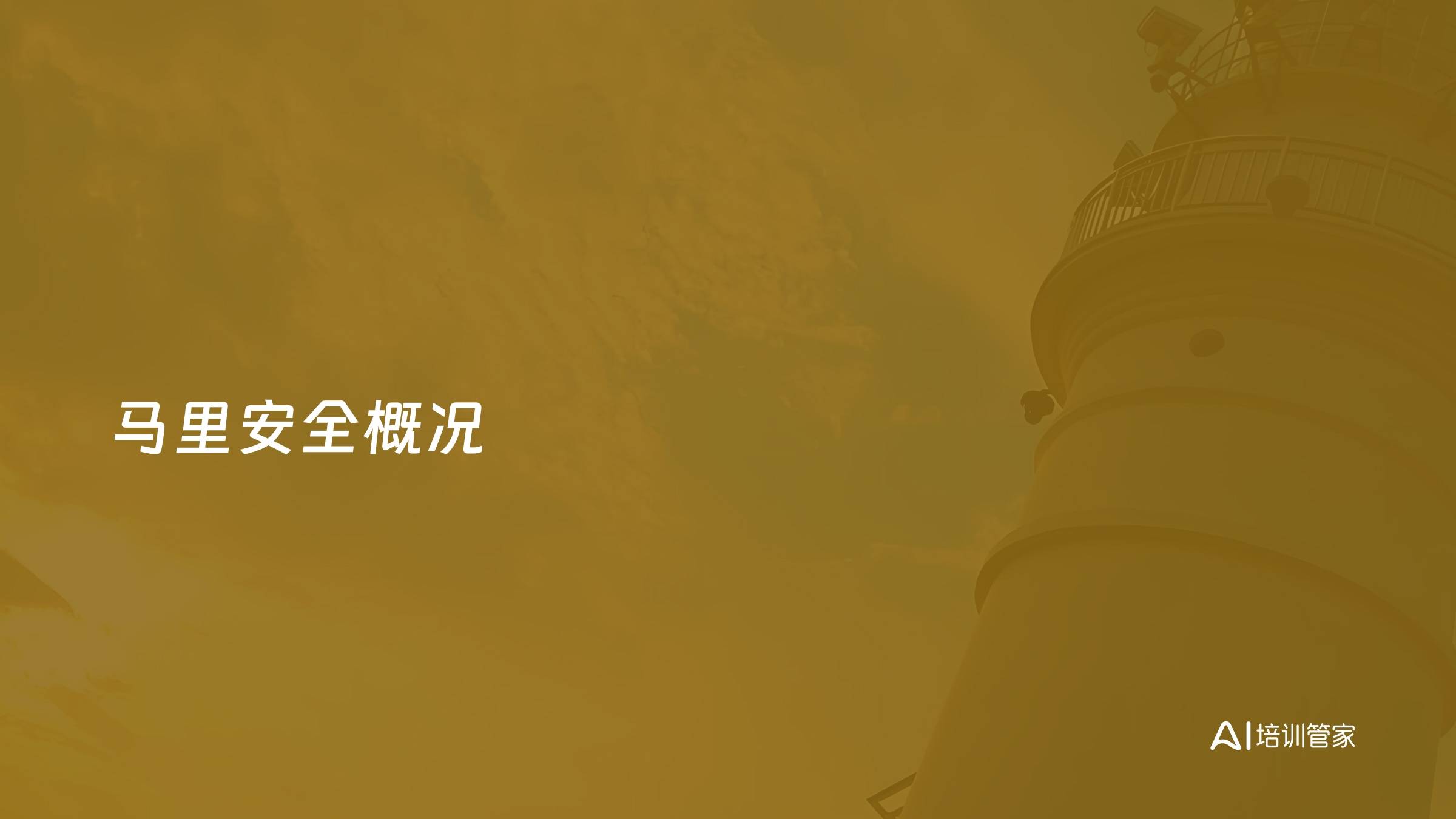 马里安全概况