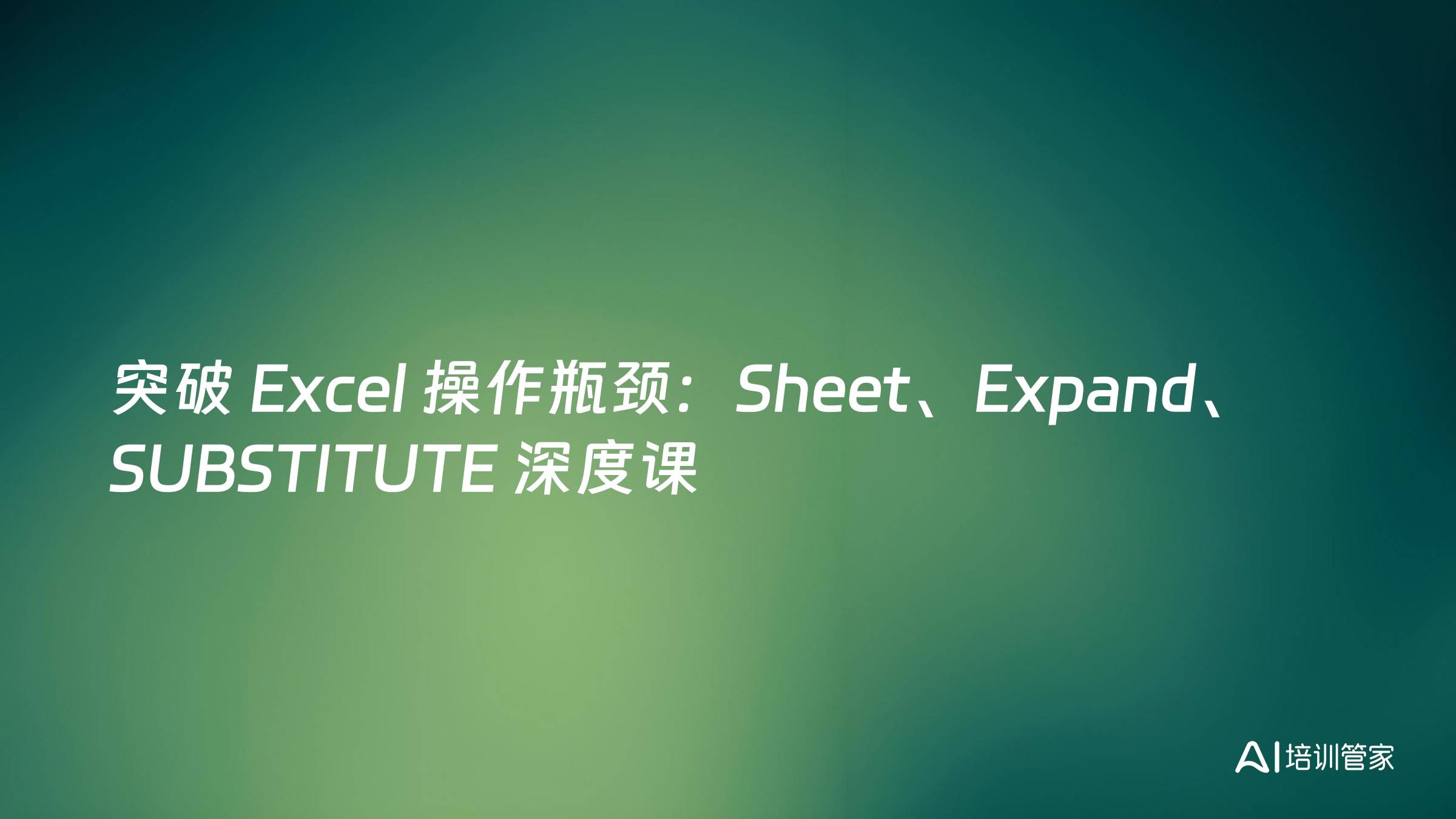 突破 Excel 操作瓶颈：Sheet、Expand、SUBSTITUTE 深度课