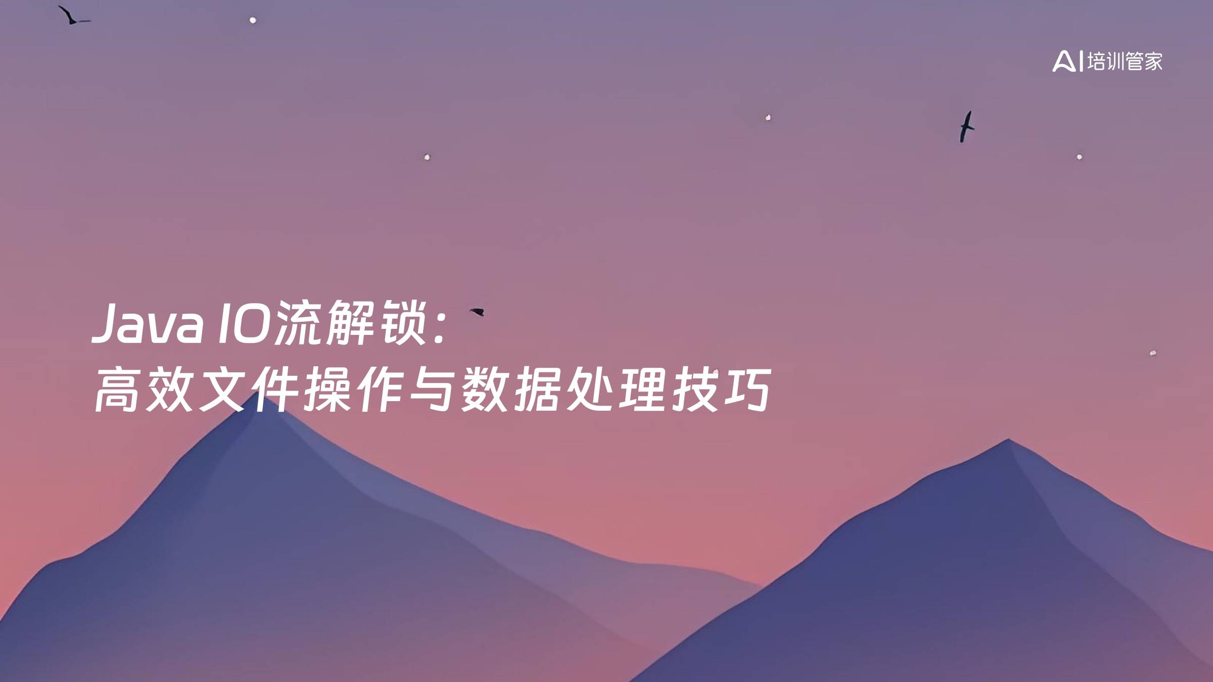 Java IO流解锁：高效文件操作与数据处理技巧