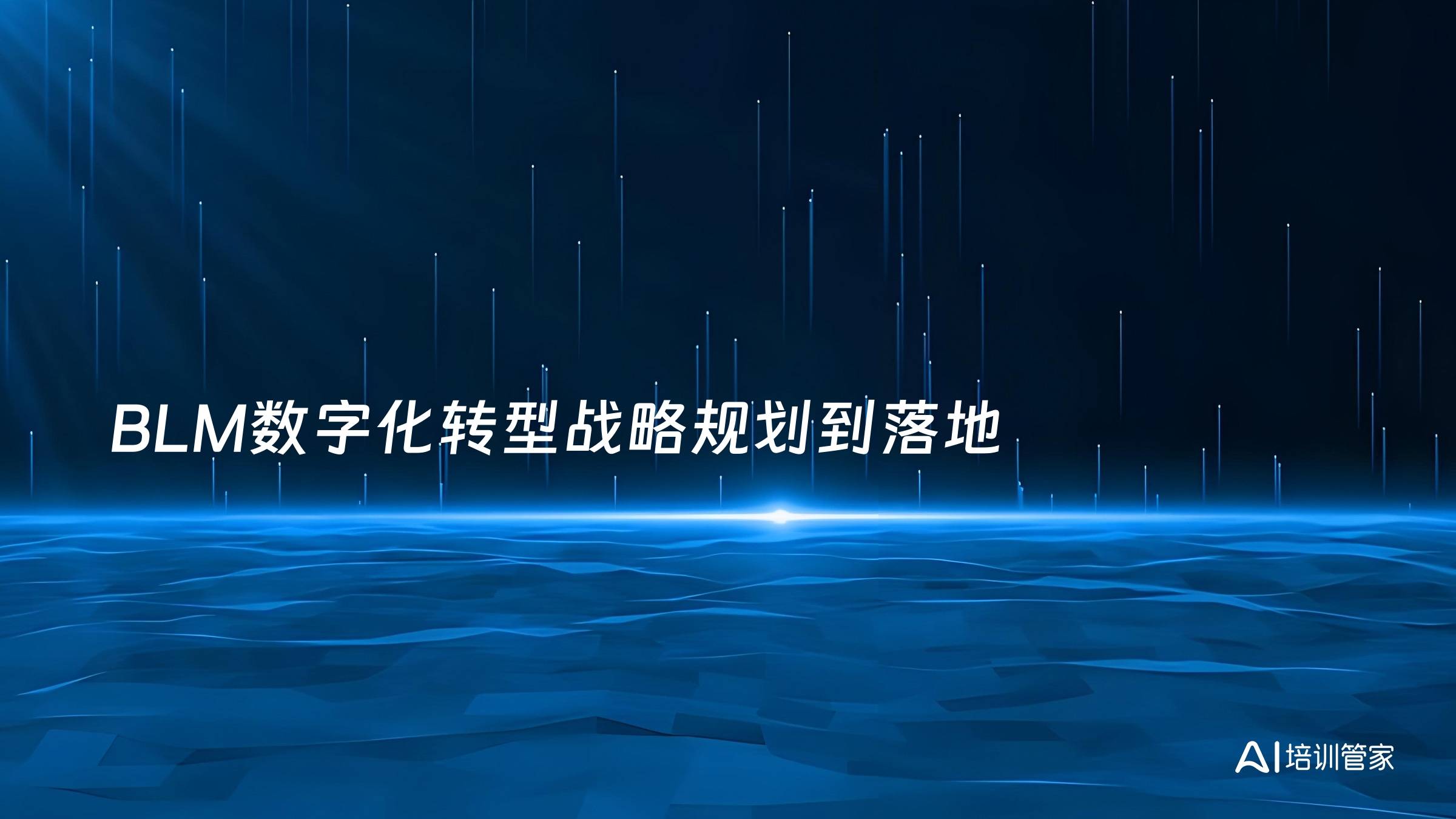 BLM数字化转型战略规划到落地