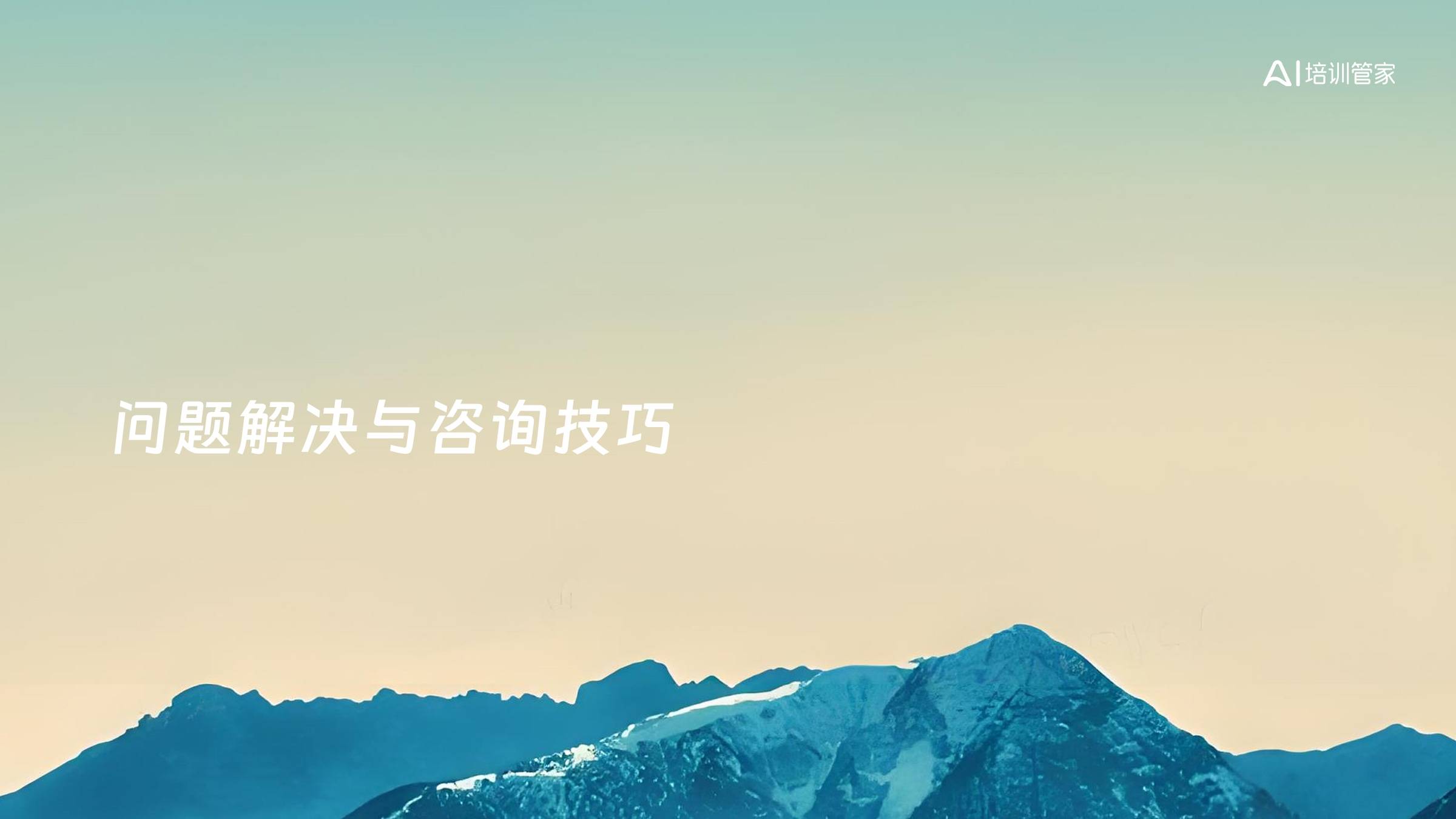 问题解决与咨询技巧