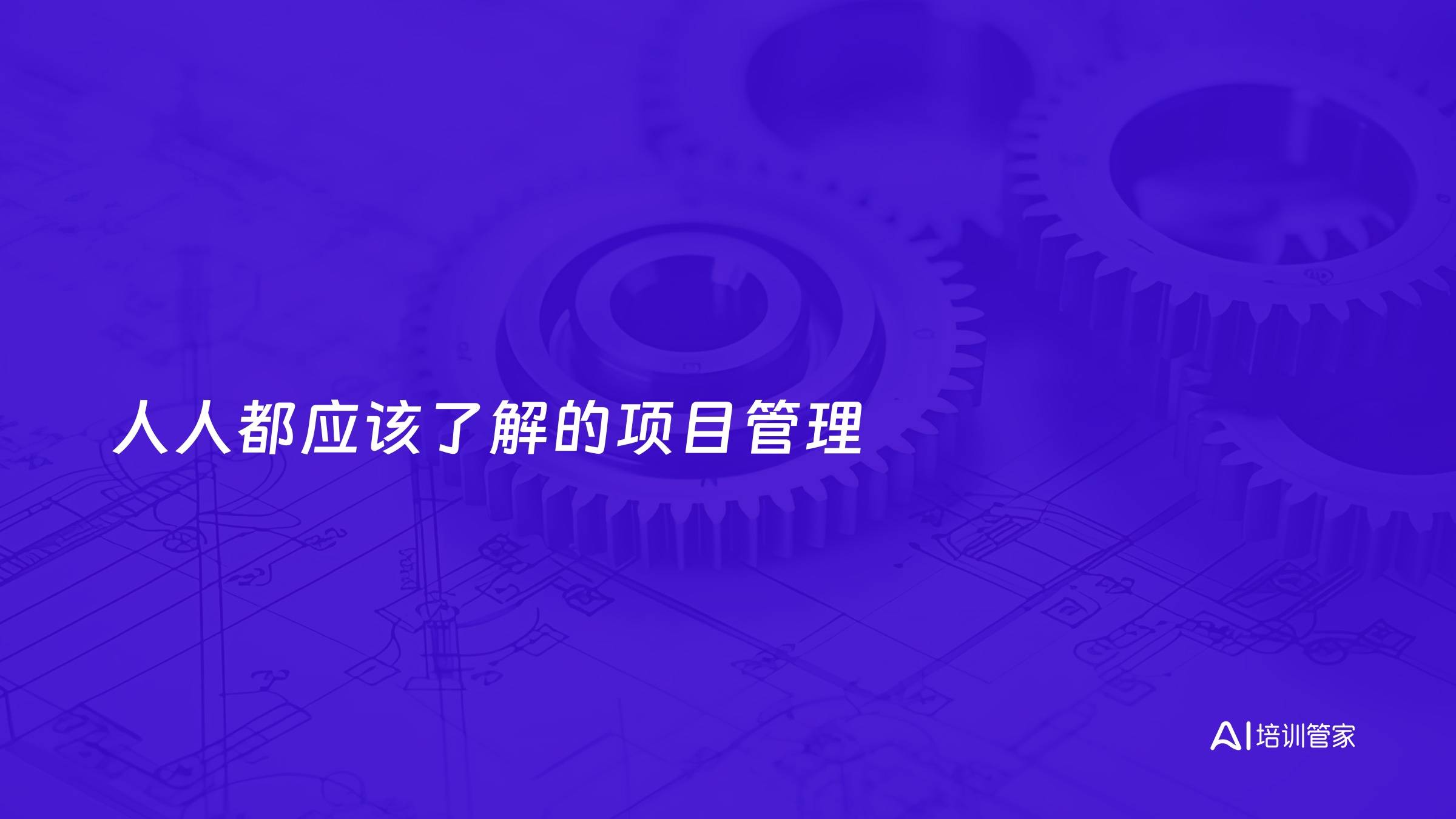 人人都应该了解的项目管理