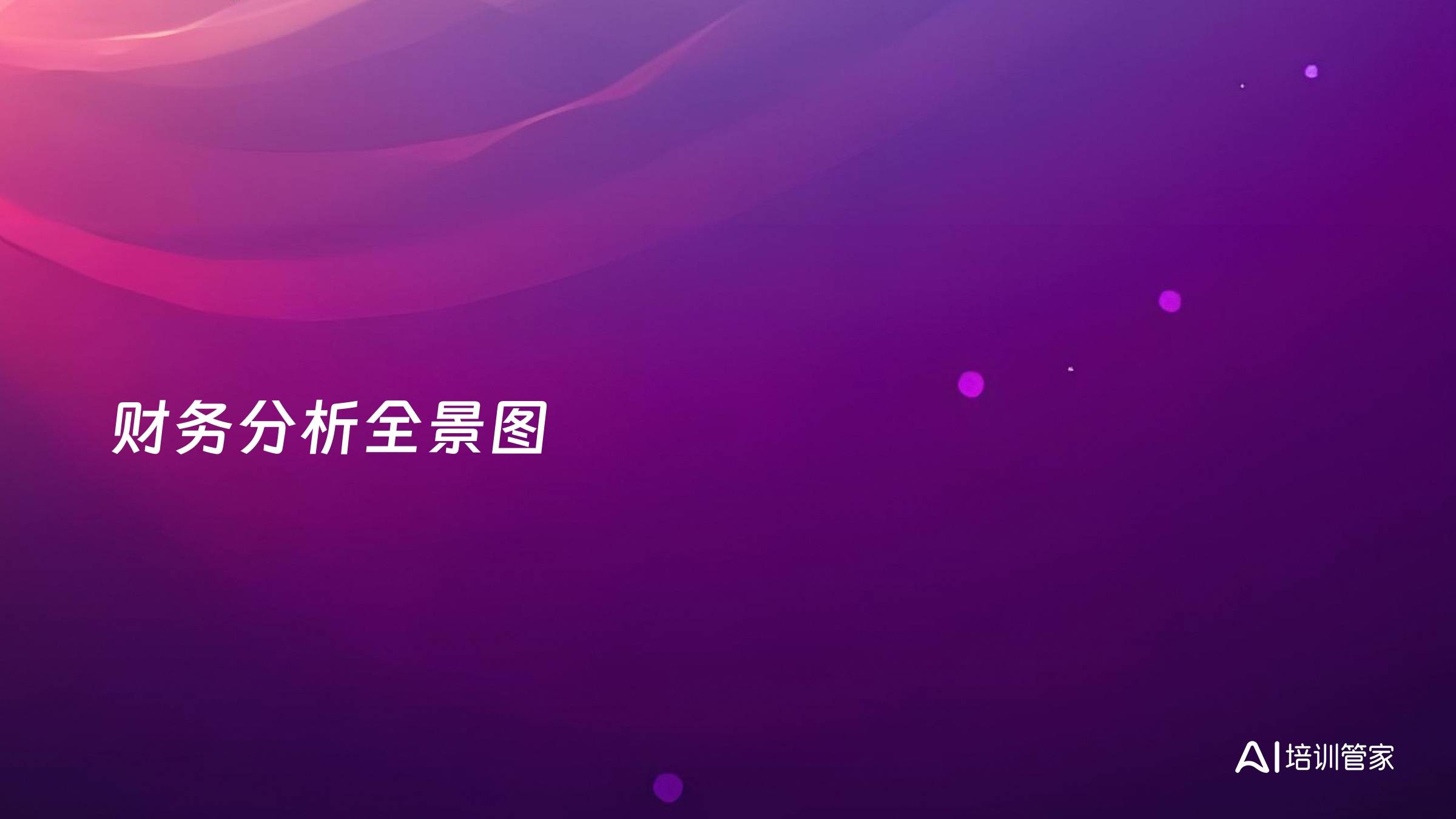财务分析全景图