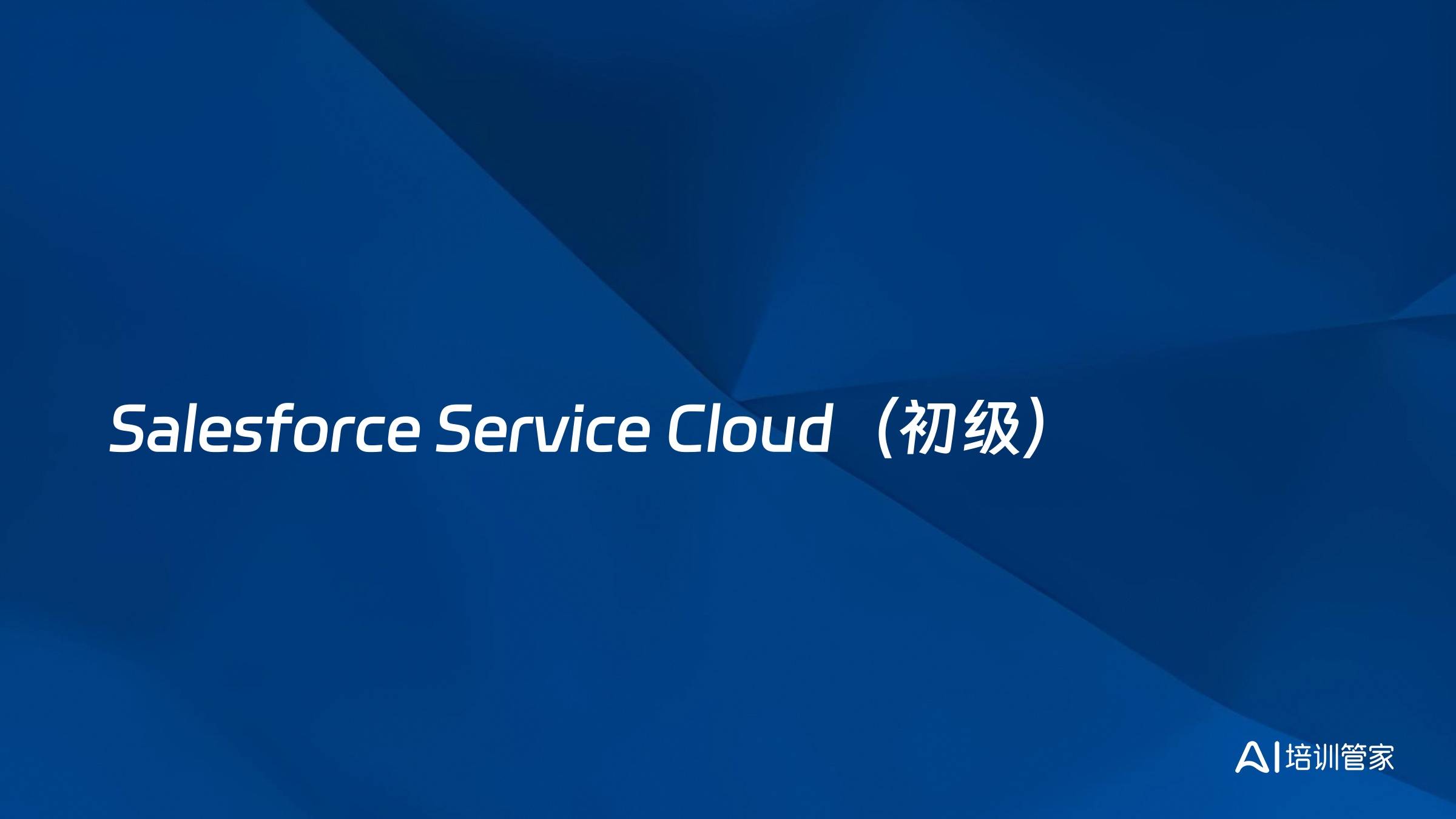 Salesforce Service Cloud（初级）