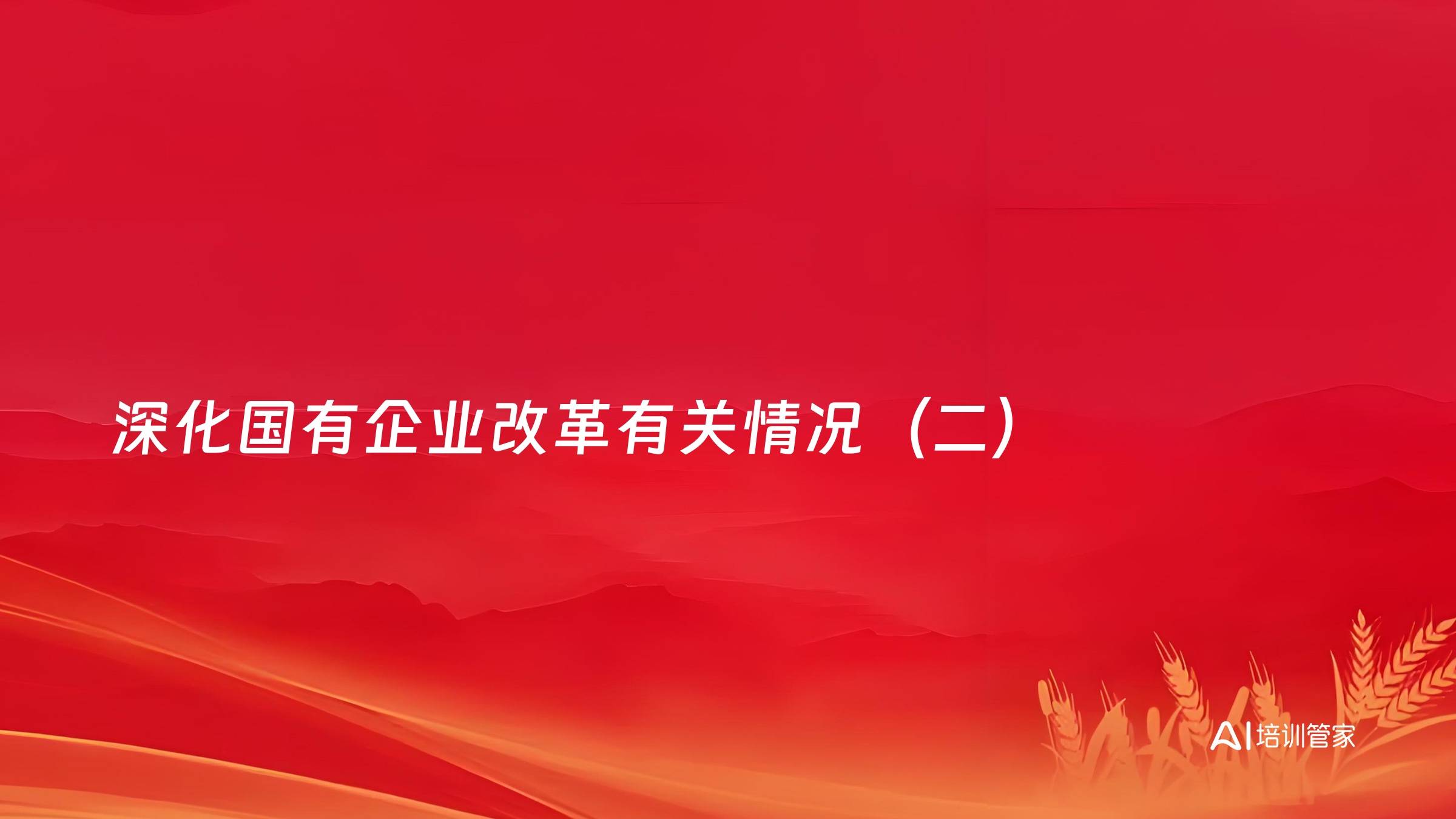 深化国有企业改革有关情况（二）