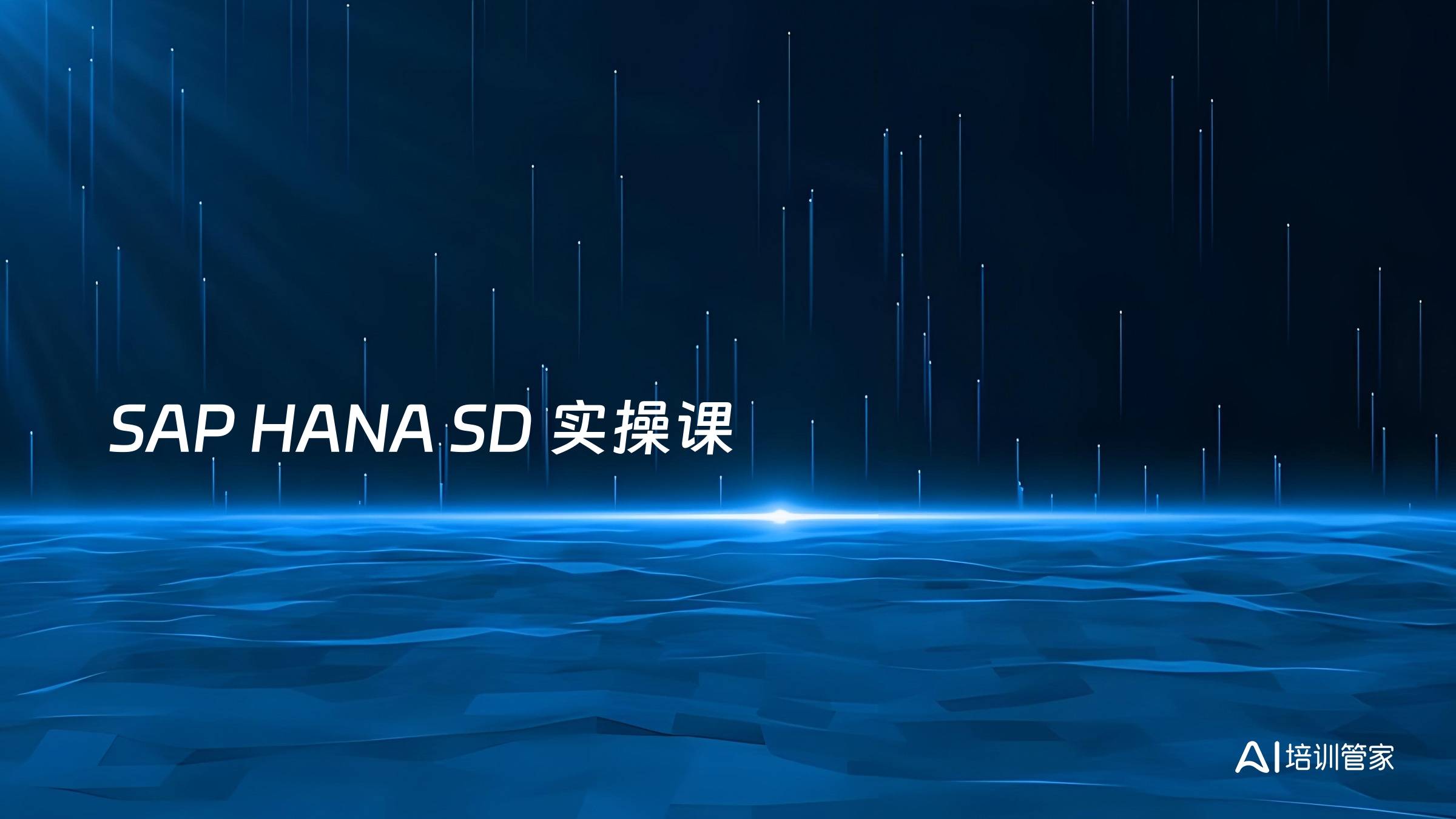 SAP HANA SD 实操课
