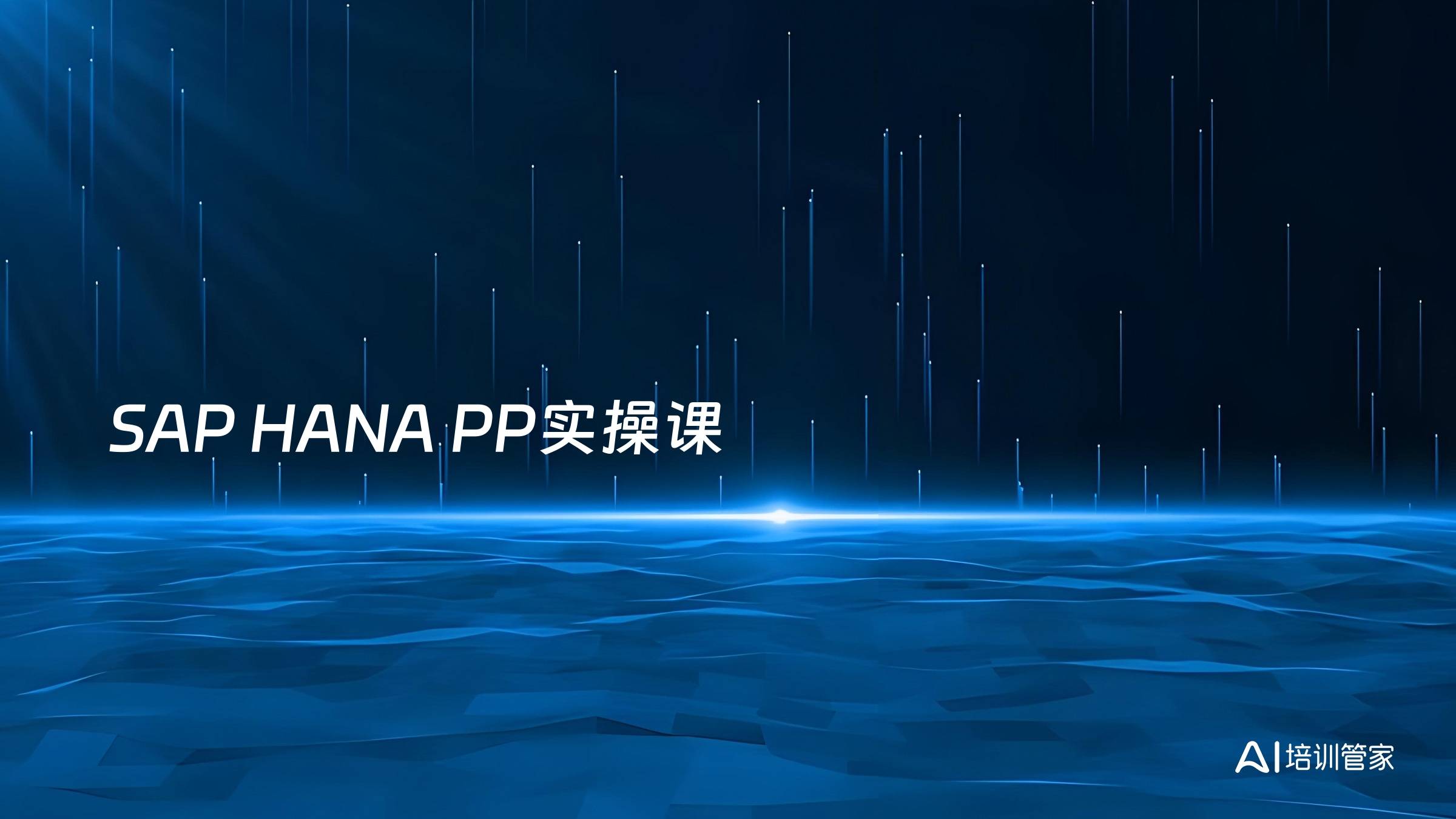 SAP HANA PP实操课