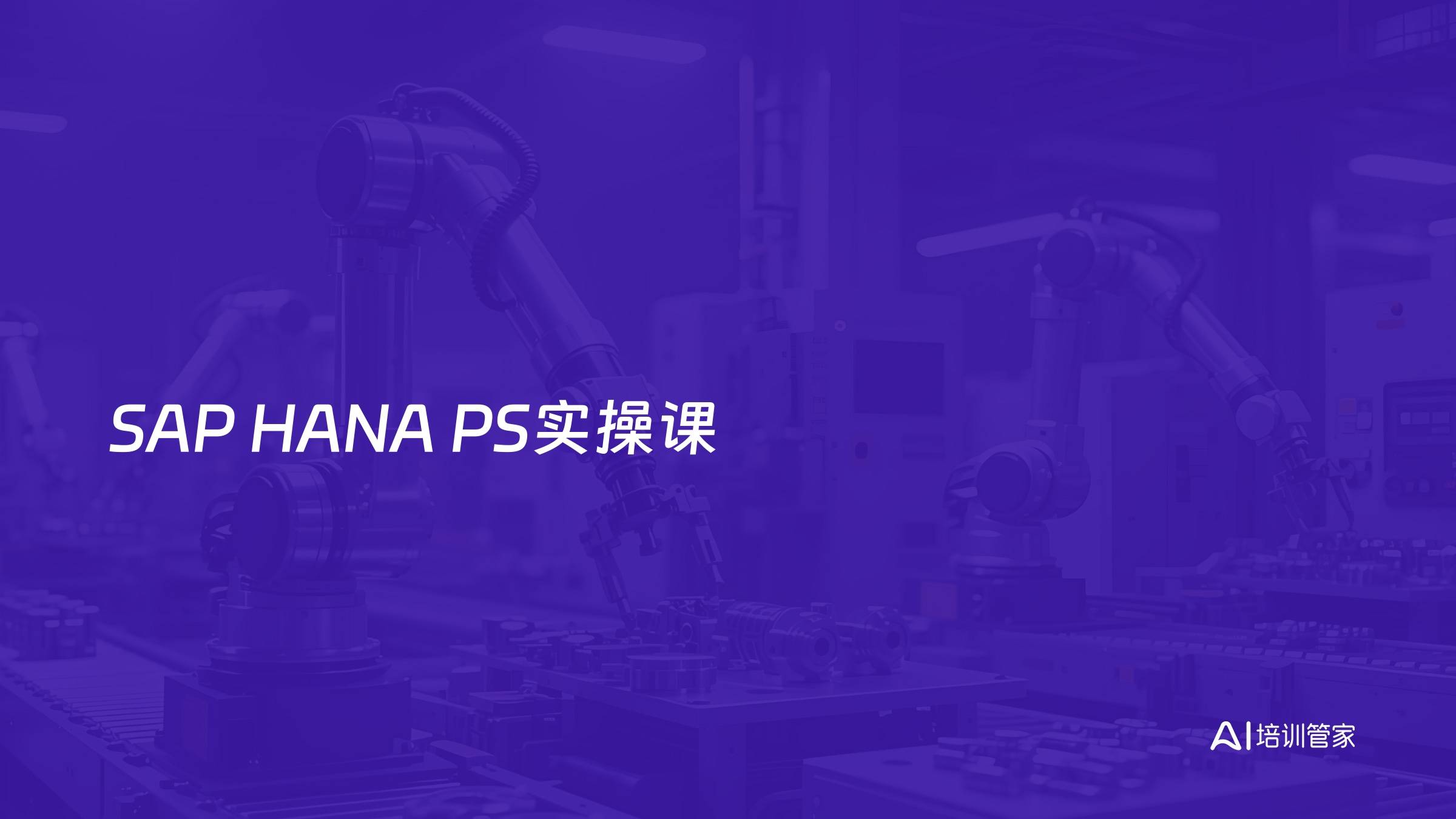 SAP HANA PS实操课