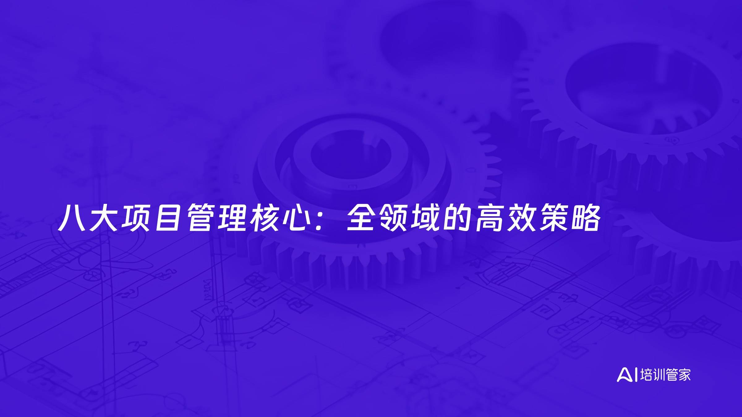 八大项目管理核心：全领域的高效策略