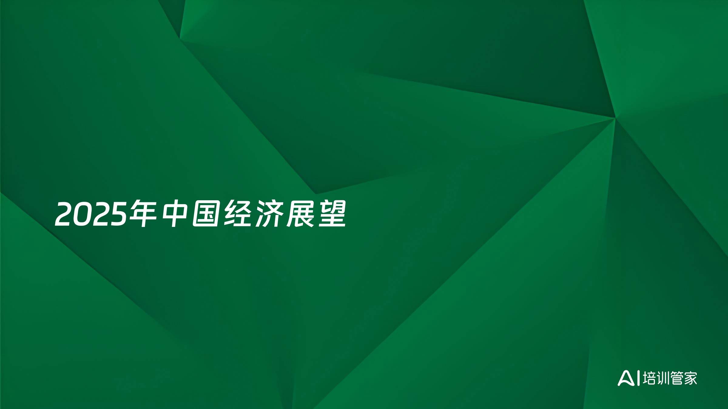2025年中国经济展望