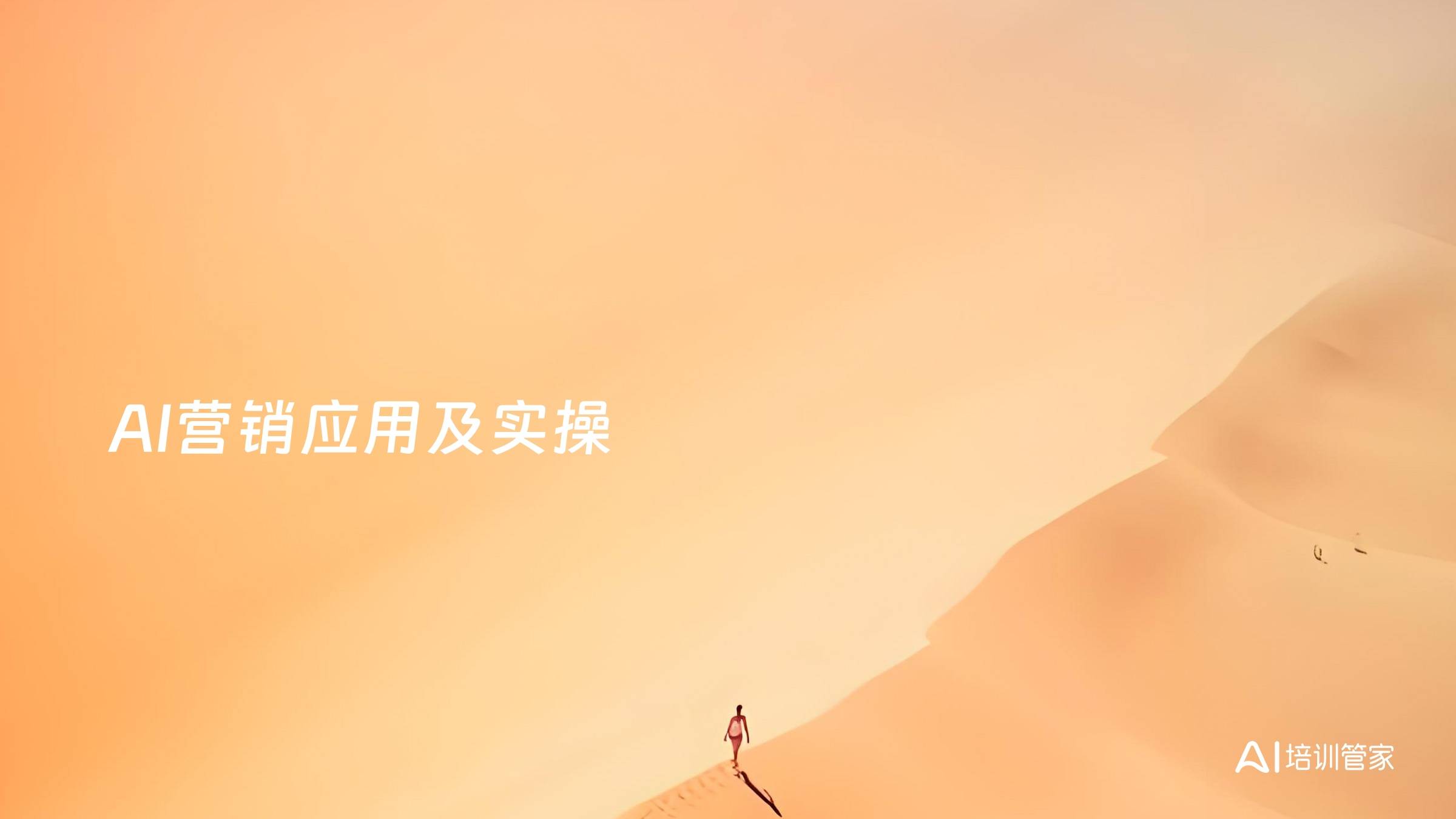 AI营销应用及实操