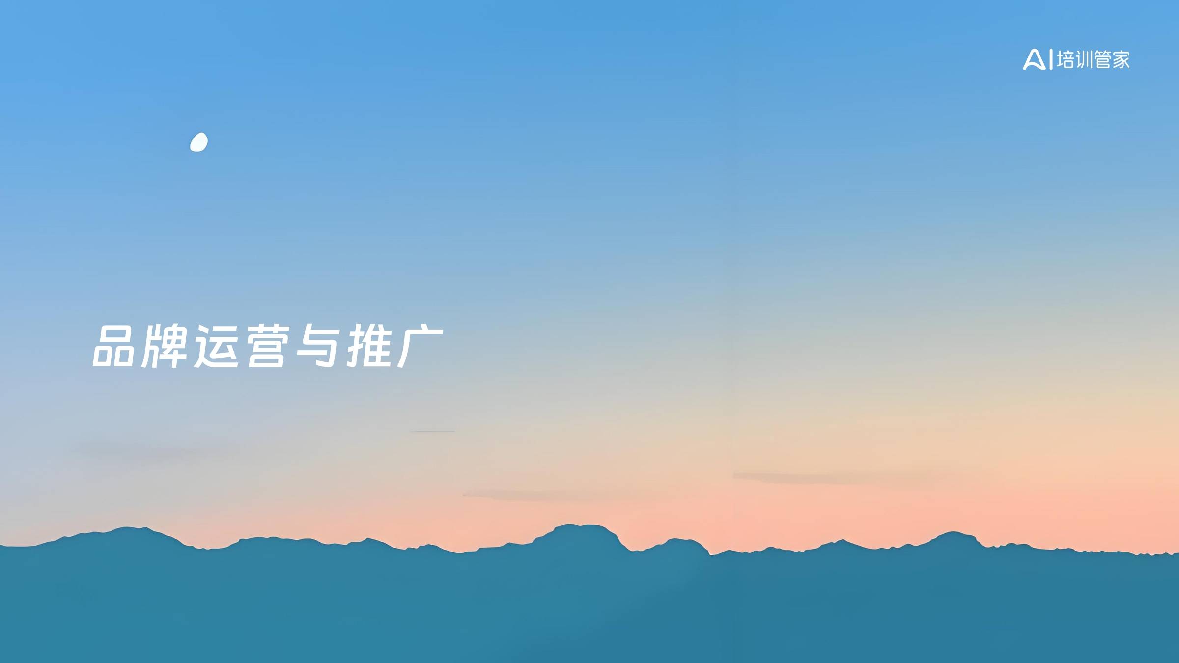 品牌运营与推广