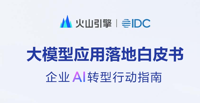 《2025大模型应用落地白皮书——企业AI转型行动指南》
