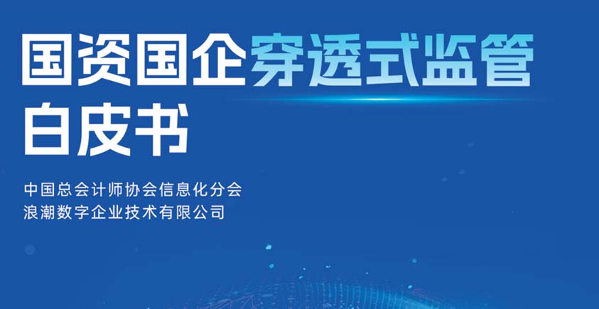 《2026国资国企穿透式监管白皮书》