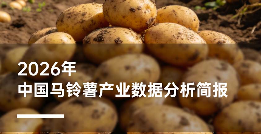 《2026年中国马铃薯产业数据分析简报》