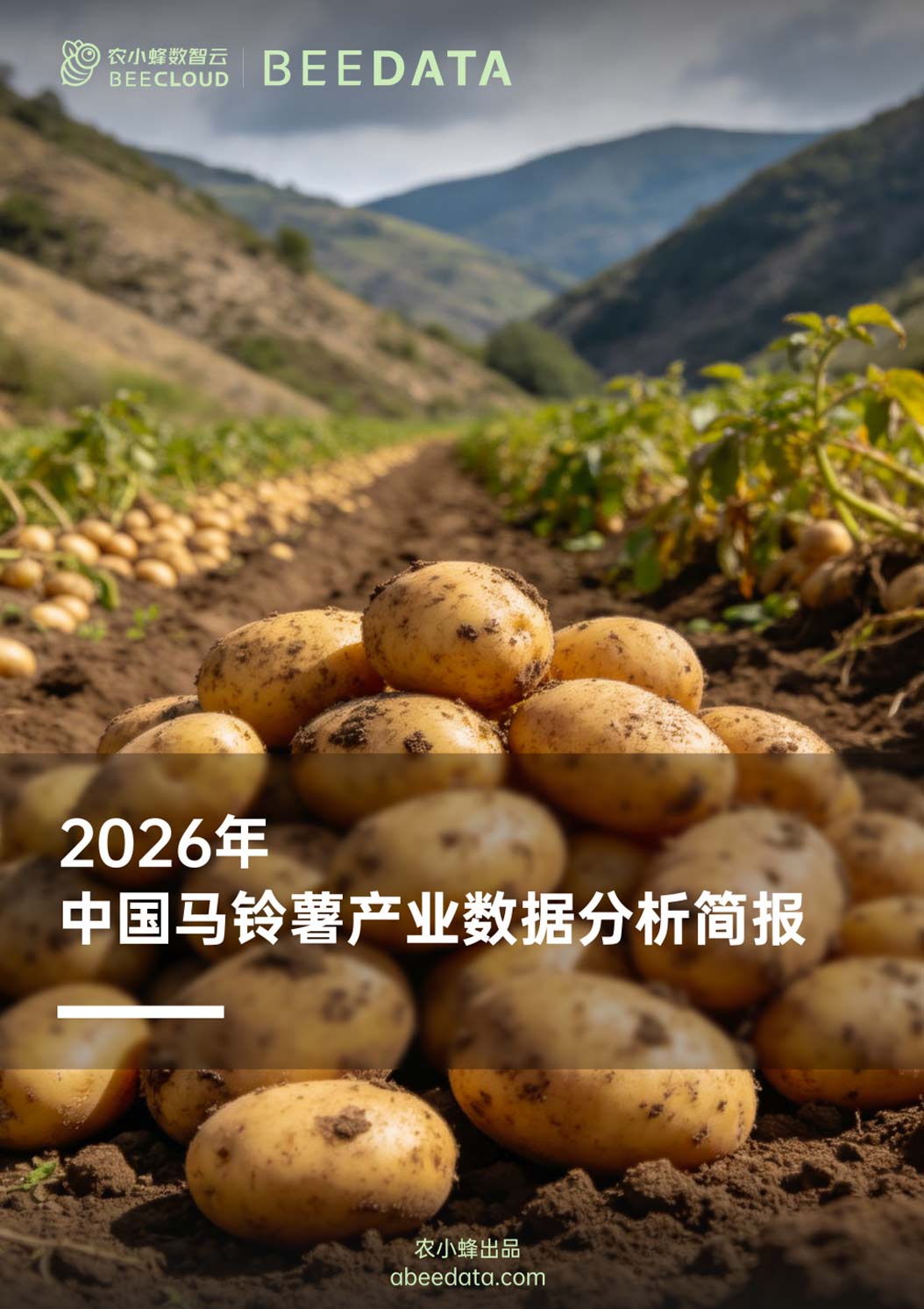 《2026年中国马铃薯产业数据分析简报》