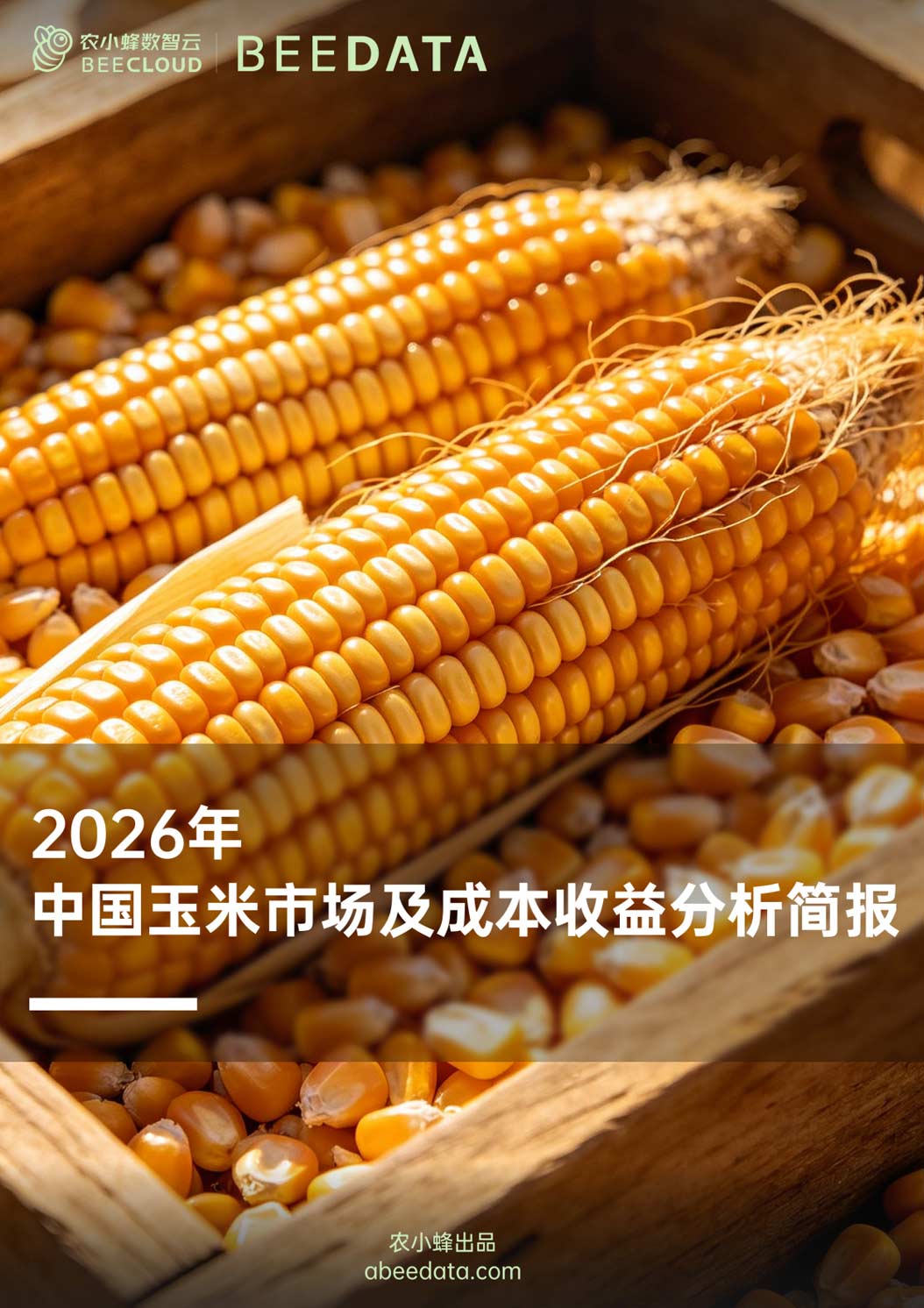 《2026年中国玉米市场及成本收益分析简报》