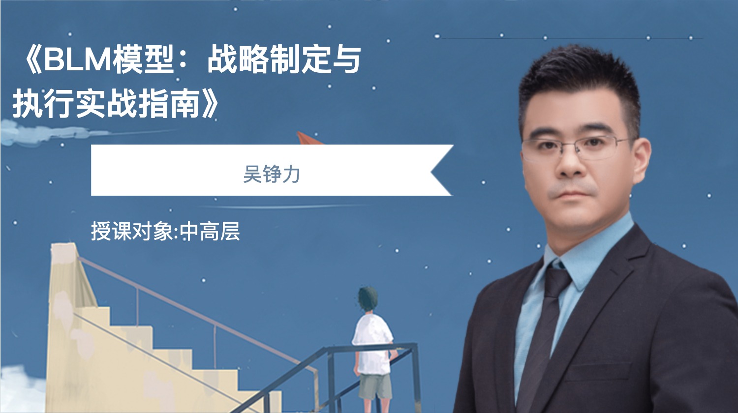 《BLM模型：战略制定与执行实战指南》