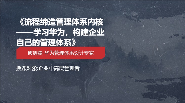 《流程缔造管理体系内核——学习华为，构建企业自己的管理体系》