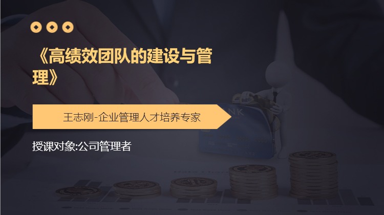 《高绩效团队的建设与管理》