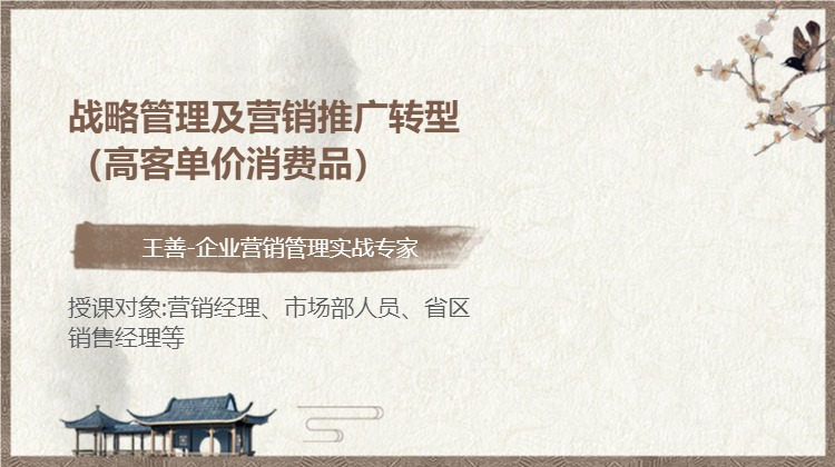 战略管理及营销推广转型（高客单价消费品）