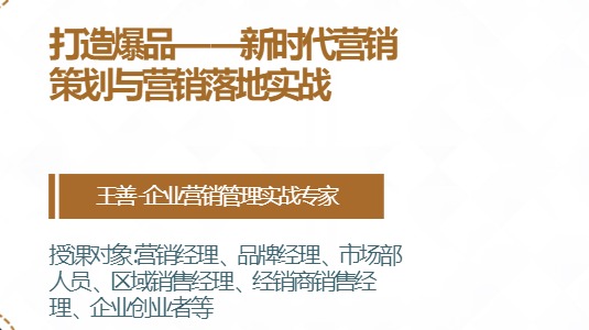 打造爆品——新时代营销策划与营销落地实战