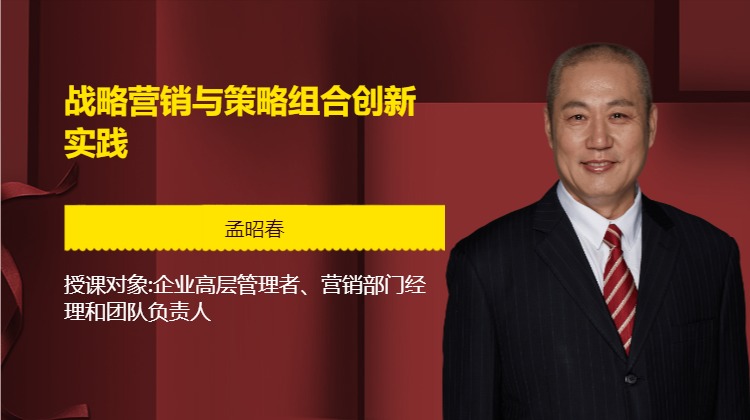 战略营销与策略组合创新实践