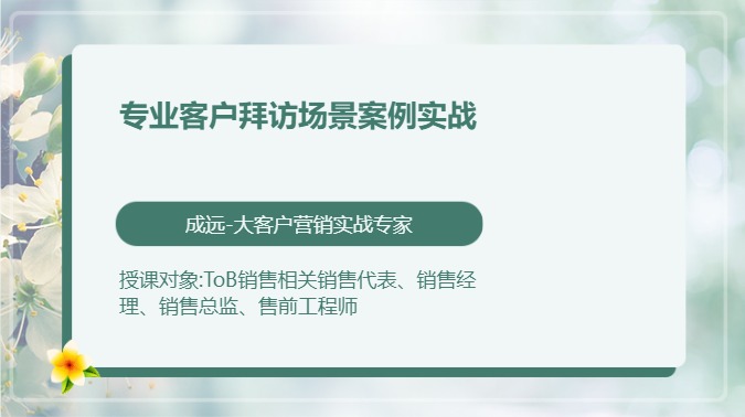 专业客户拜访场景案例实战