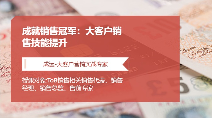 成就销售冠军：大客户销售技能提升